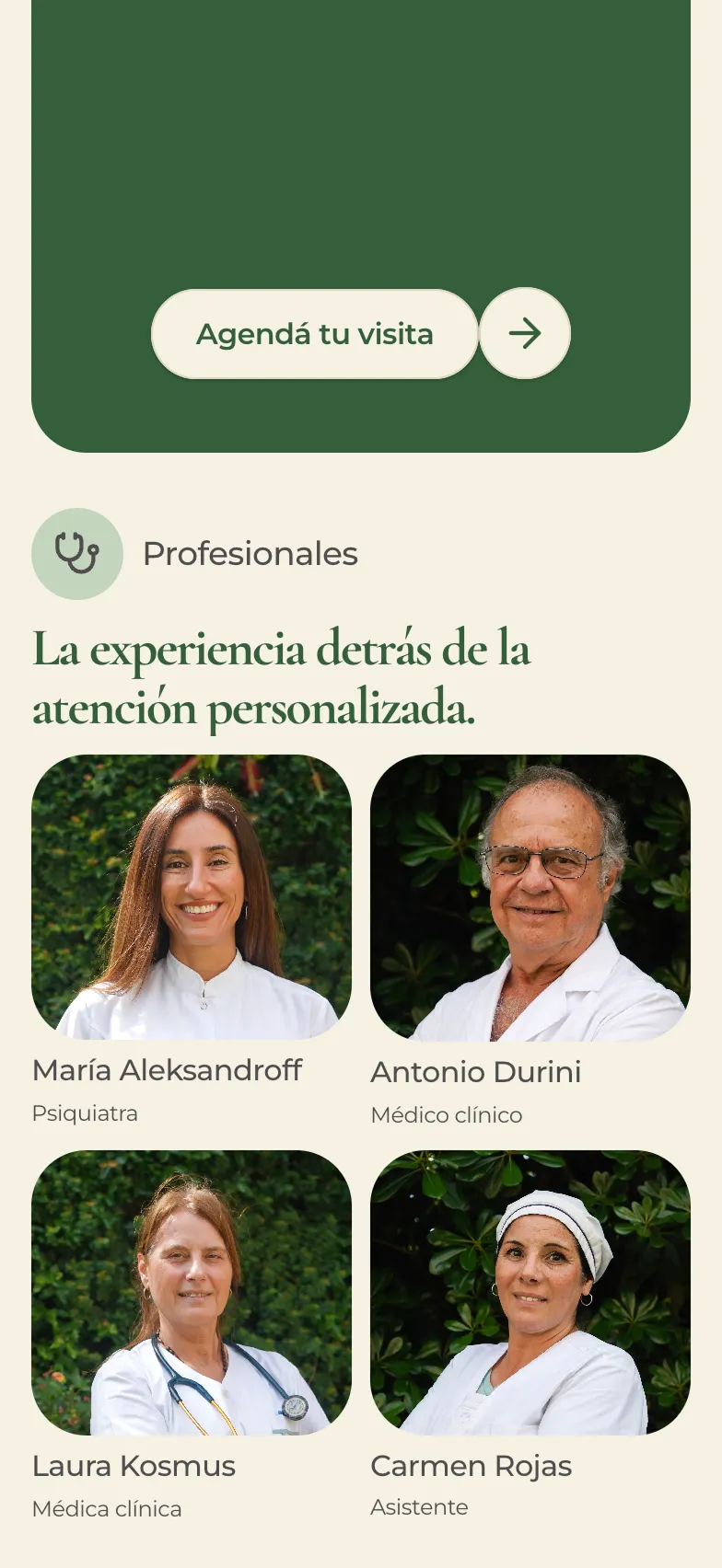 Arvox Studio - Diseño web de Instituto Privado San Fernando