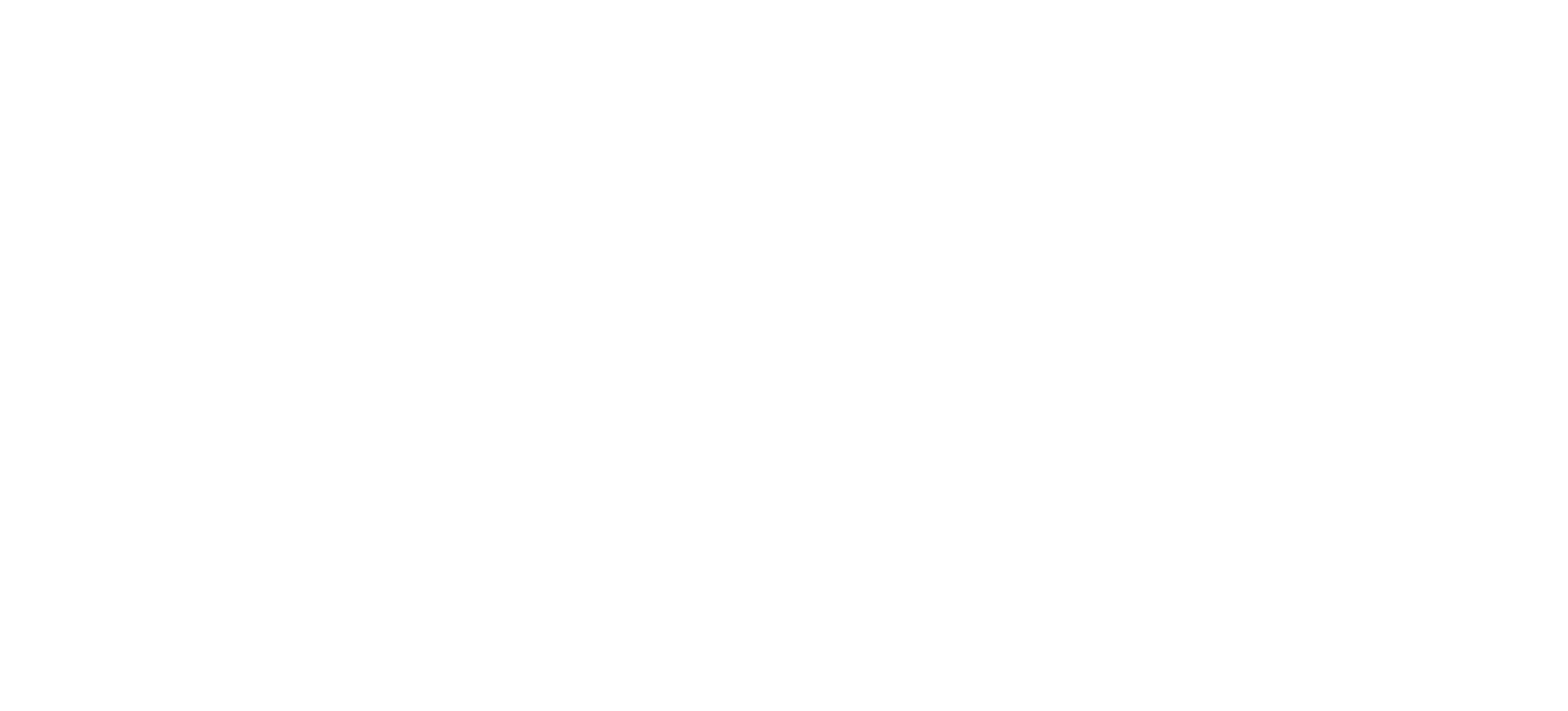 BRAVE1