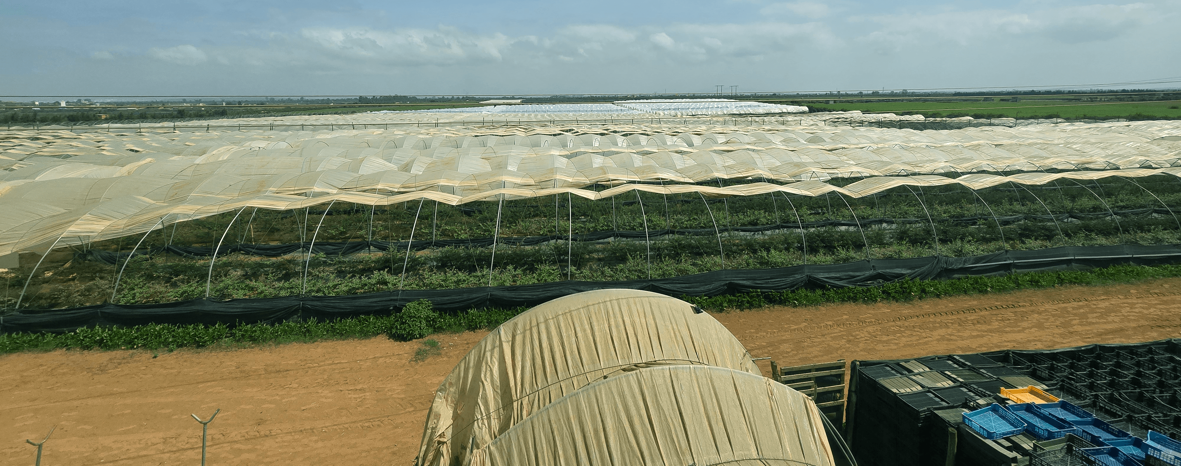 Large-scale greenhouse farm in Morocco with shade net structures