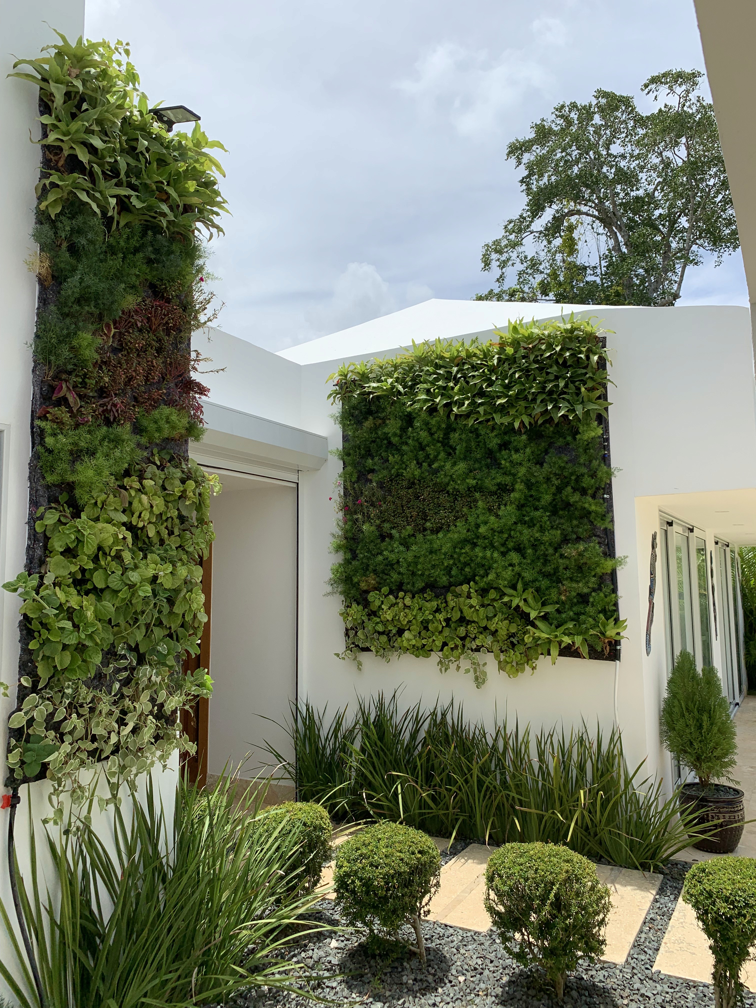 Hydroponic Vertical Garden, Punta Cana