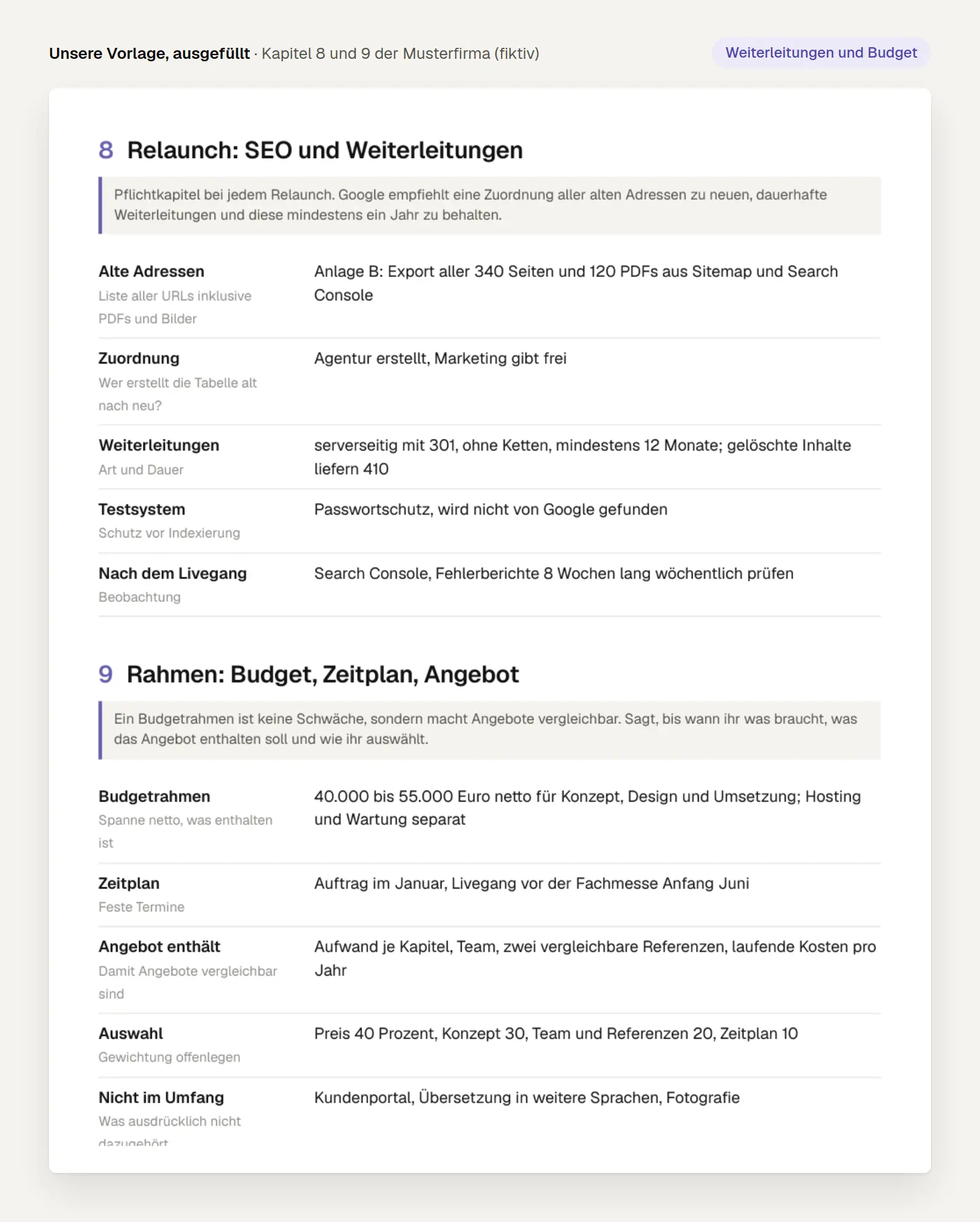Ausschnitt aus dem ausgefüllten Lastenheft-Beispiel: Kapitel Relaunch mit Weiterleitungen und Kapitel Budget, Zeitplan und Angebot