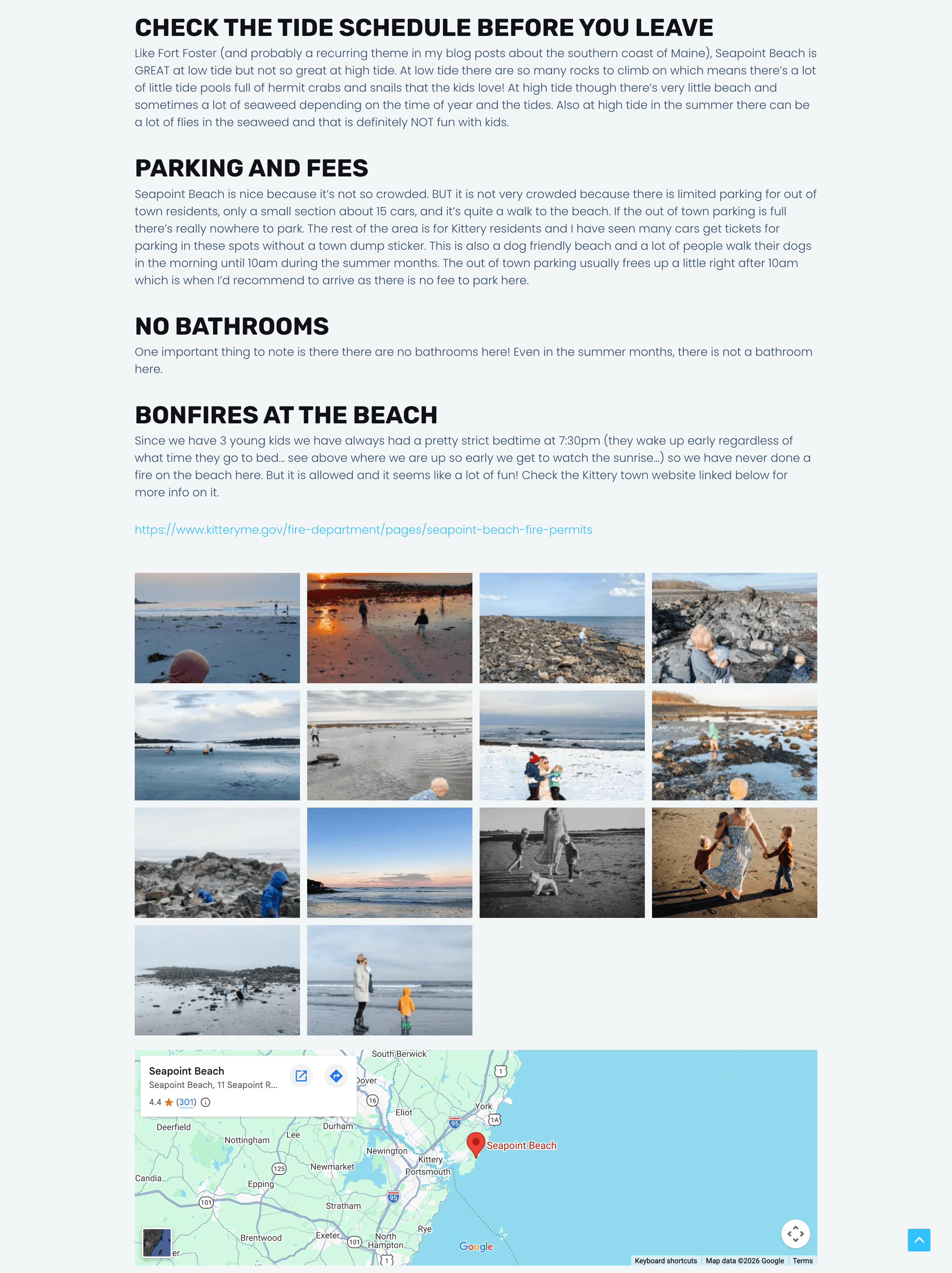 An elephant with large tusks in a lush green landscape.