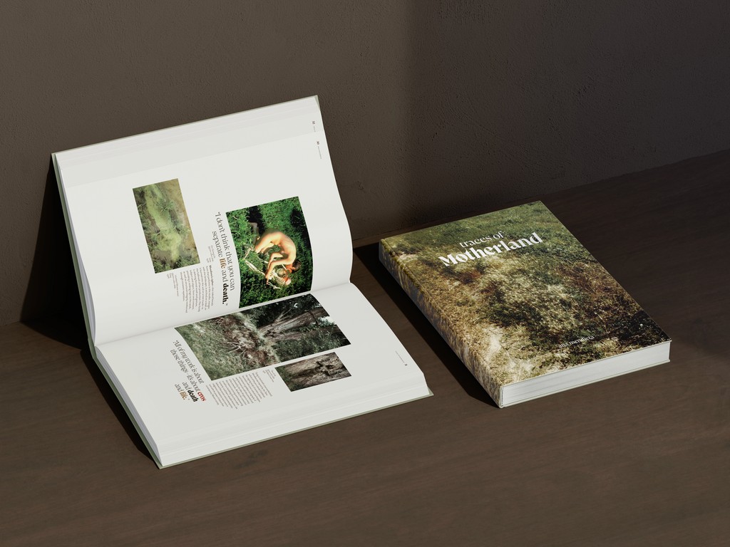 UI minimalistic widgets