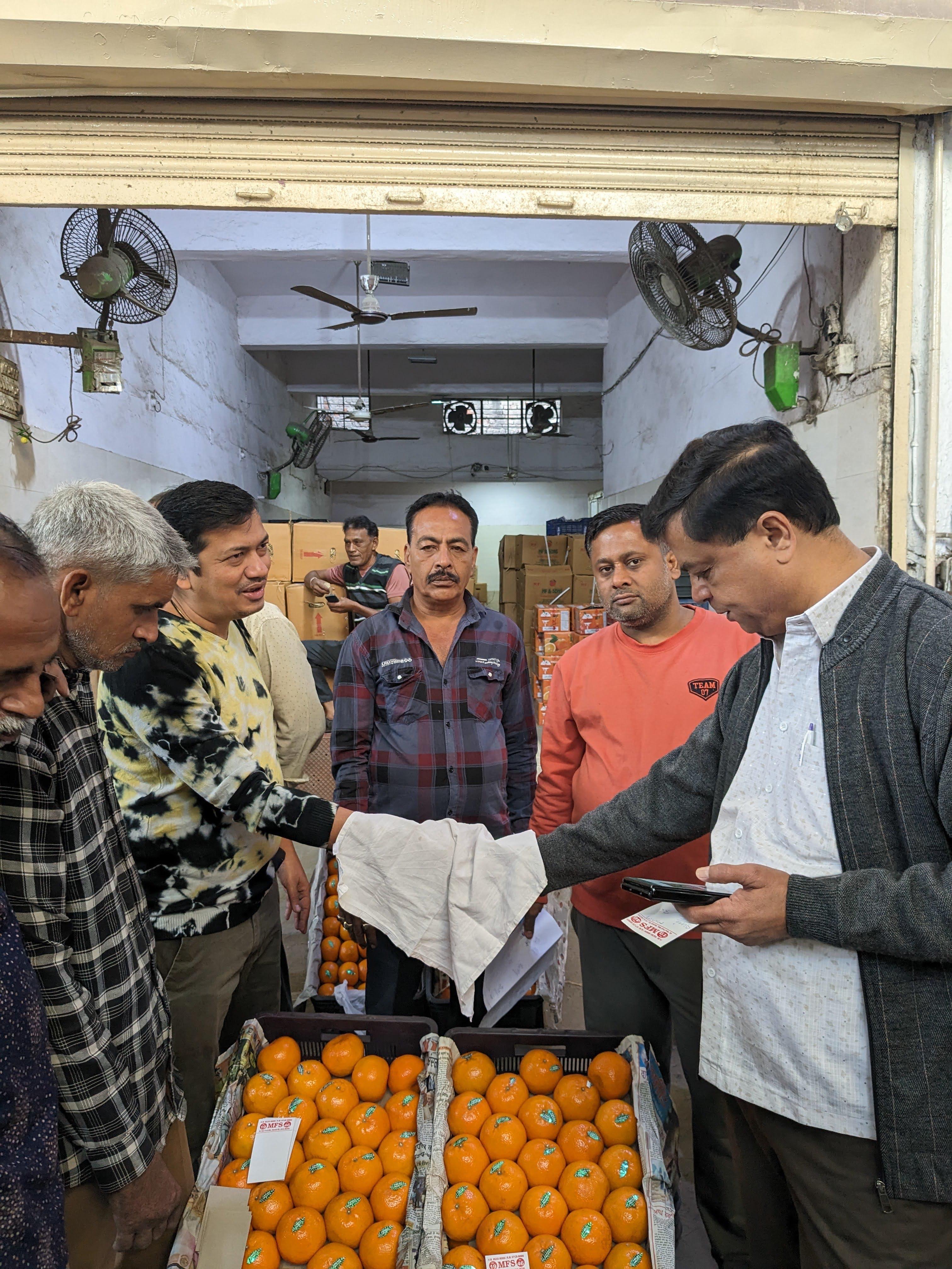 Fruit Finder Field Work