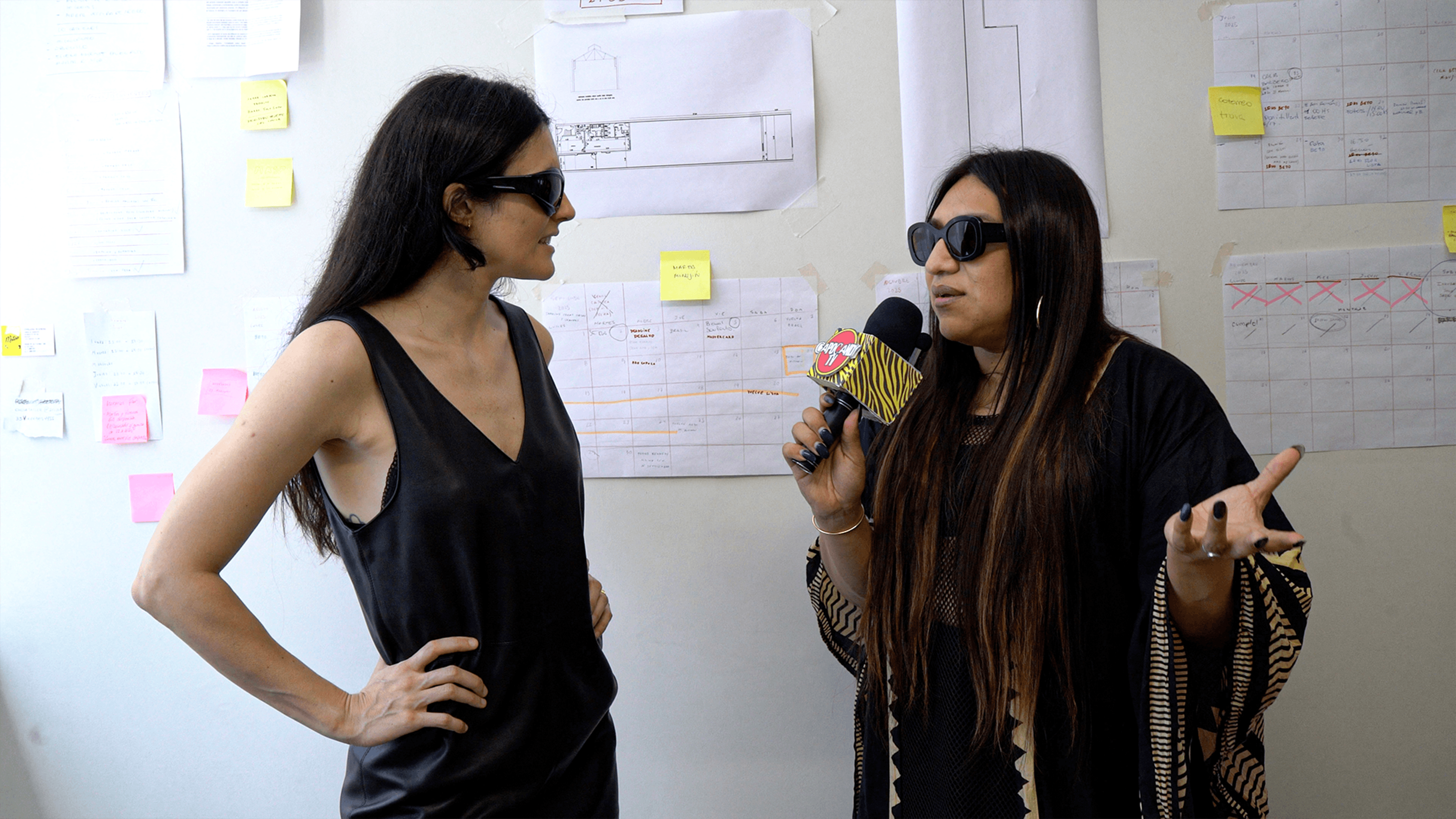 Entrevistando a una artista