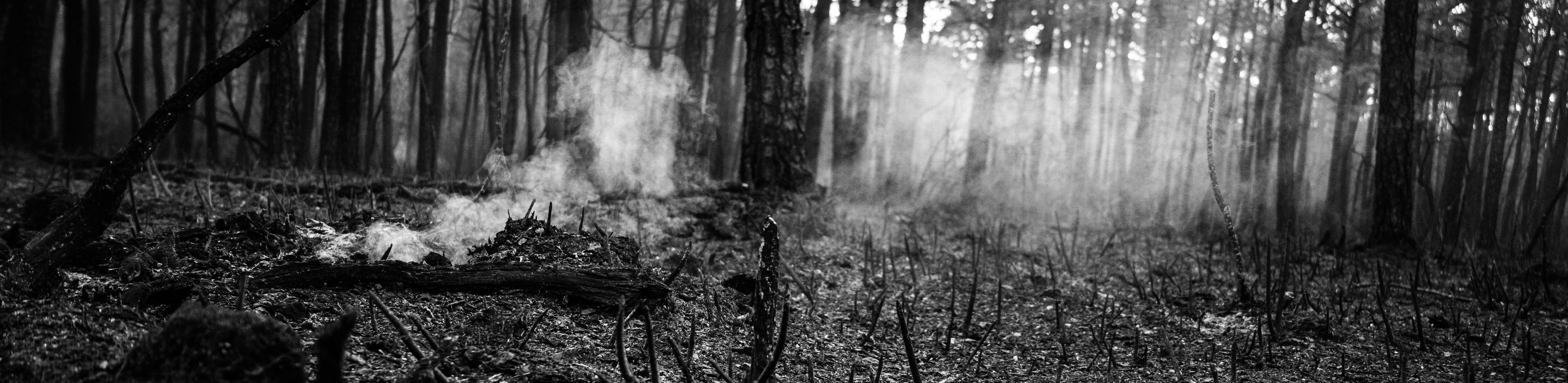 fall 2024. nikon z5. san jose, ca.