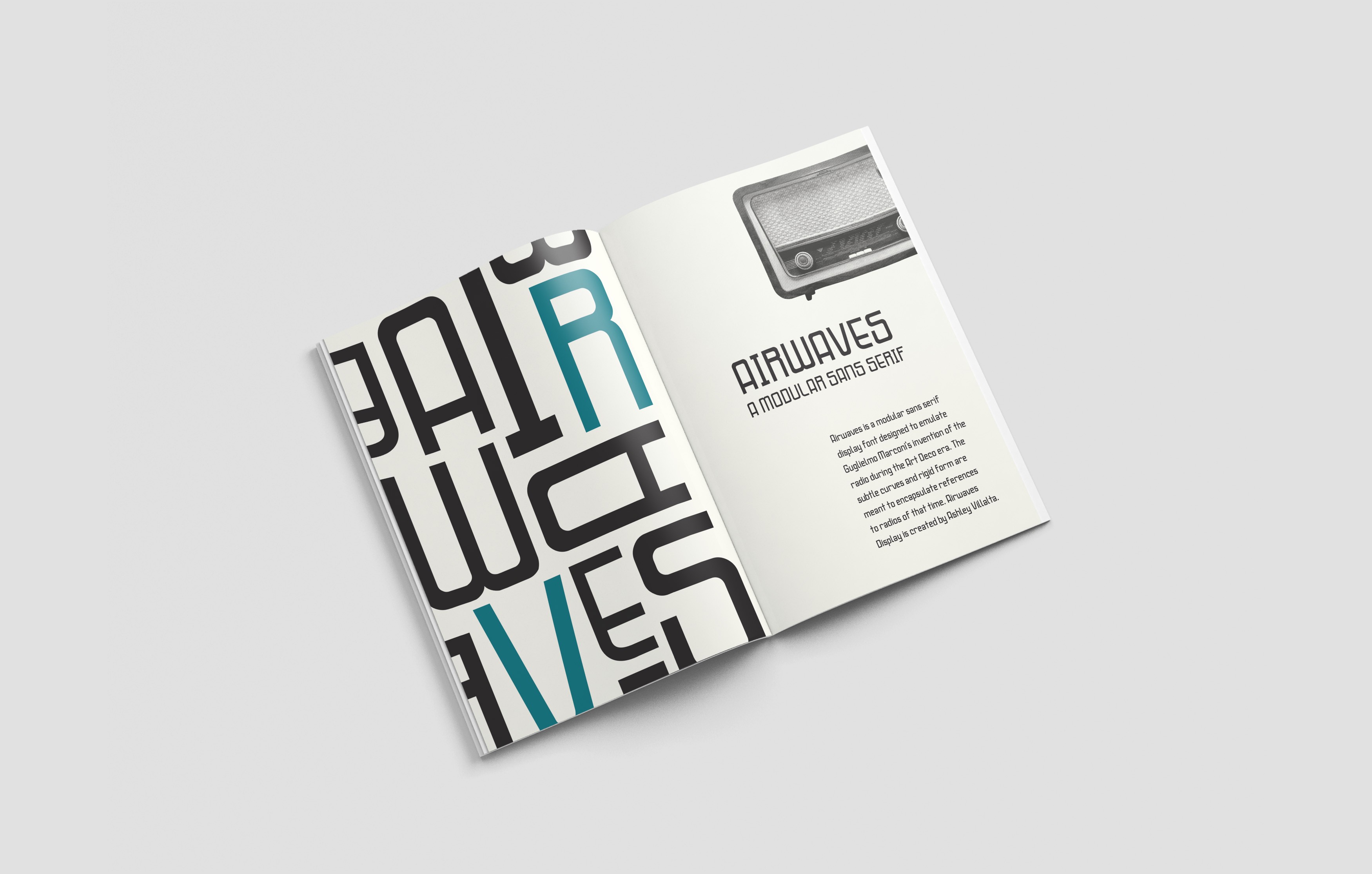 Large Project Gallery Image #1