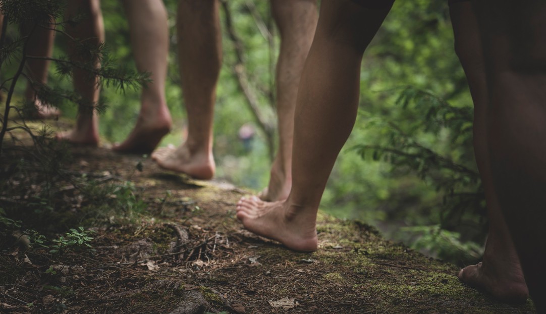 Here comest the alt text