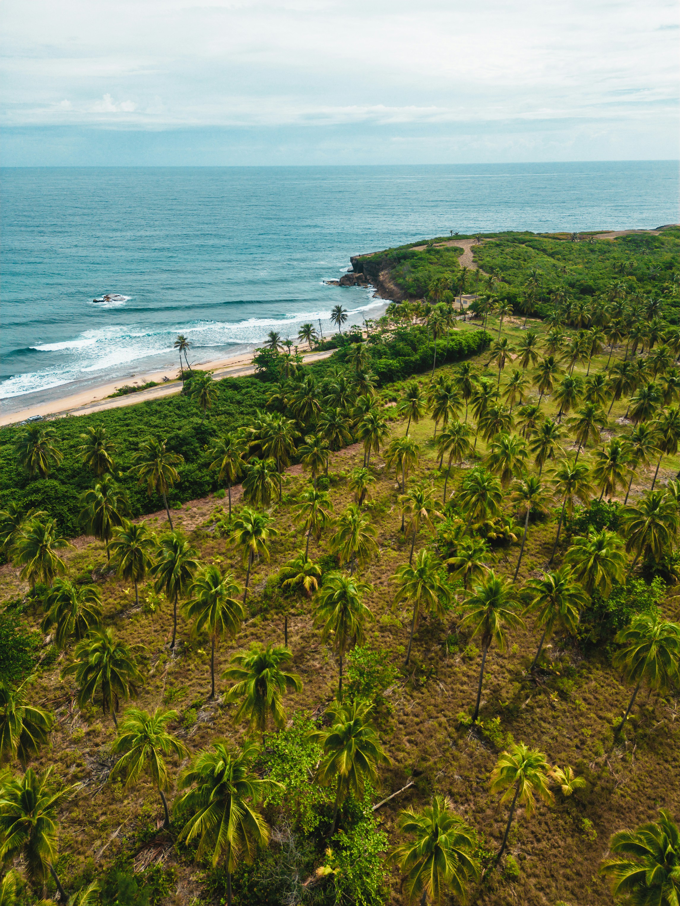 A scenic view of a field, beach, and ocean in Puerto Rico