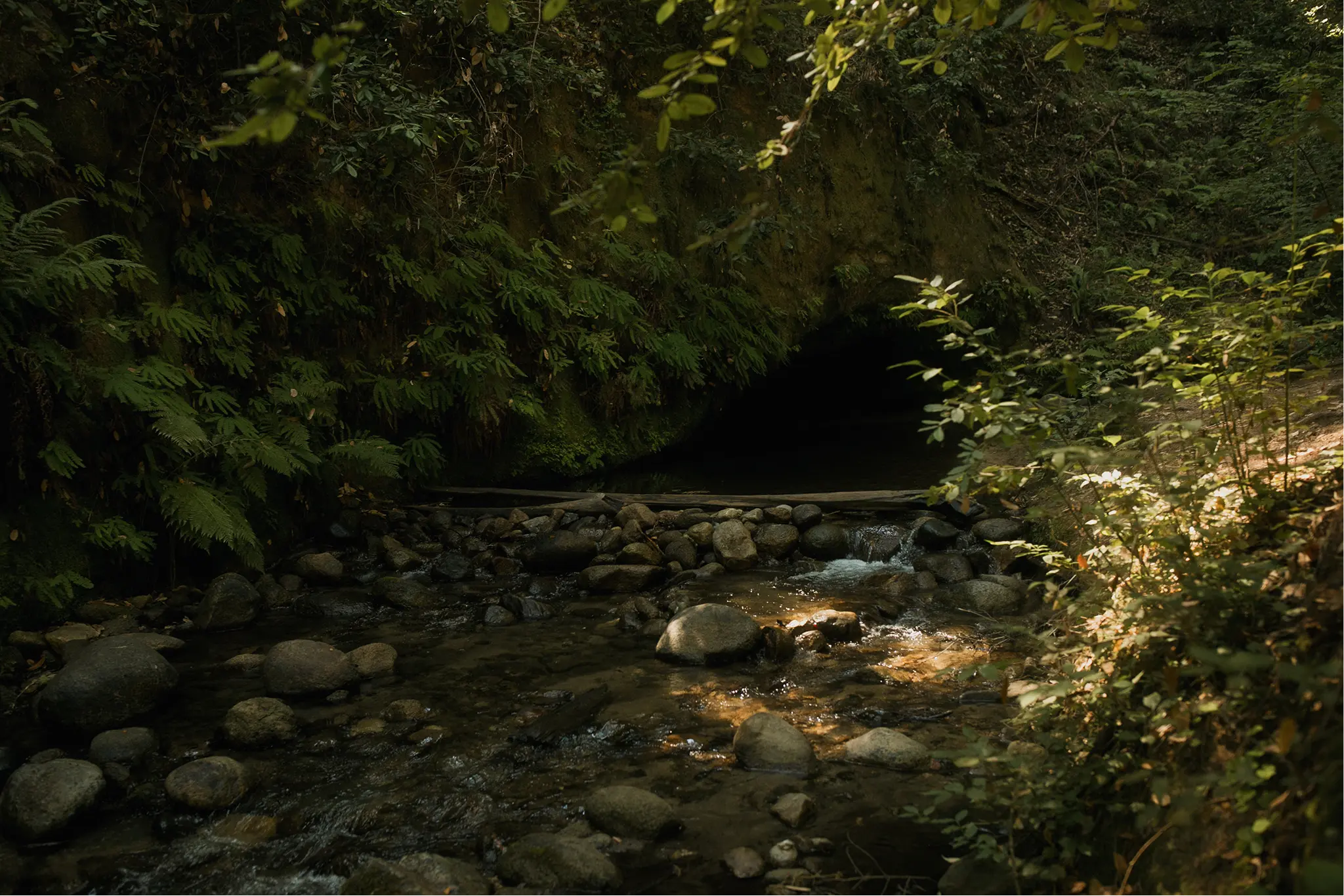 ClearPath
