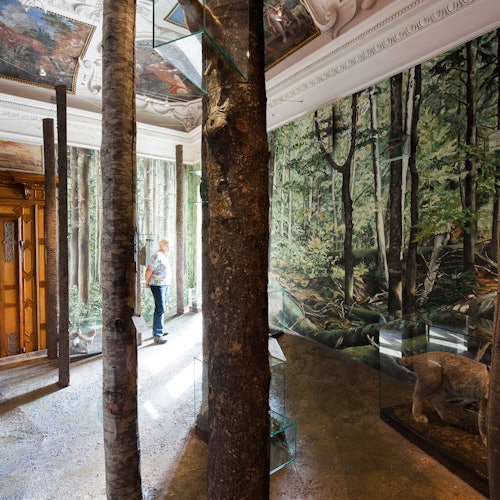 一位男士在欣赏艺术展览,展出的是带有森林壁画的作品,其中包括融入树干和玻璃柜中的一座熊雕塑。