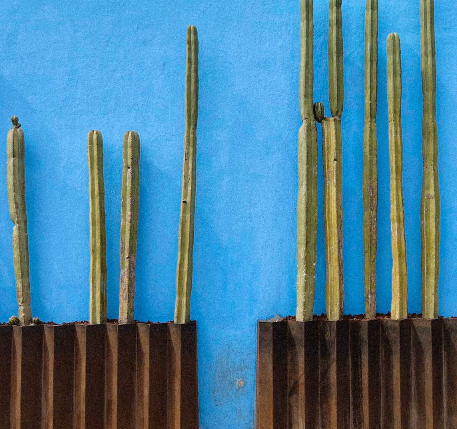 Day trips from Puerto Escondido Oaxaca