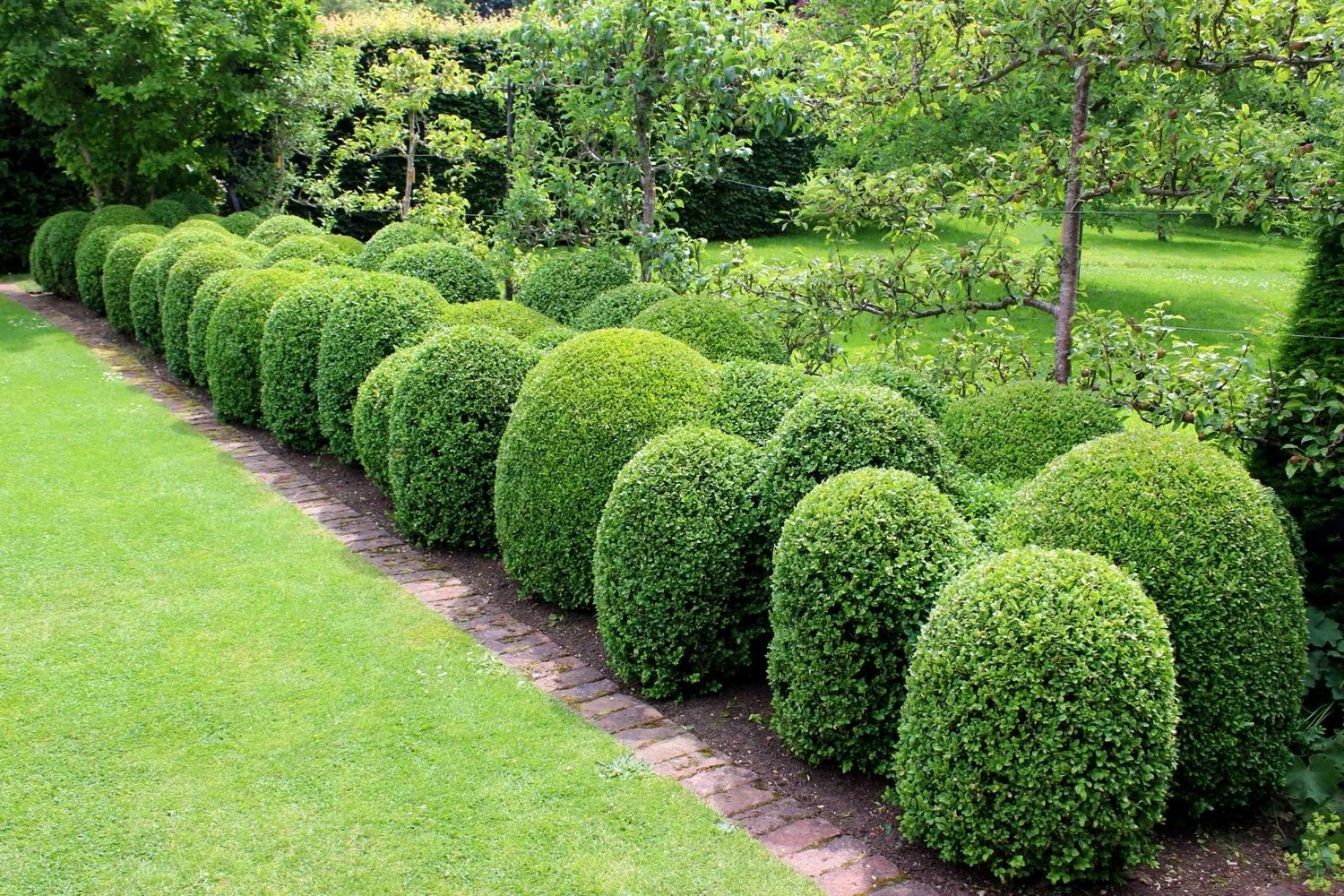Outdoor Image