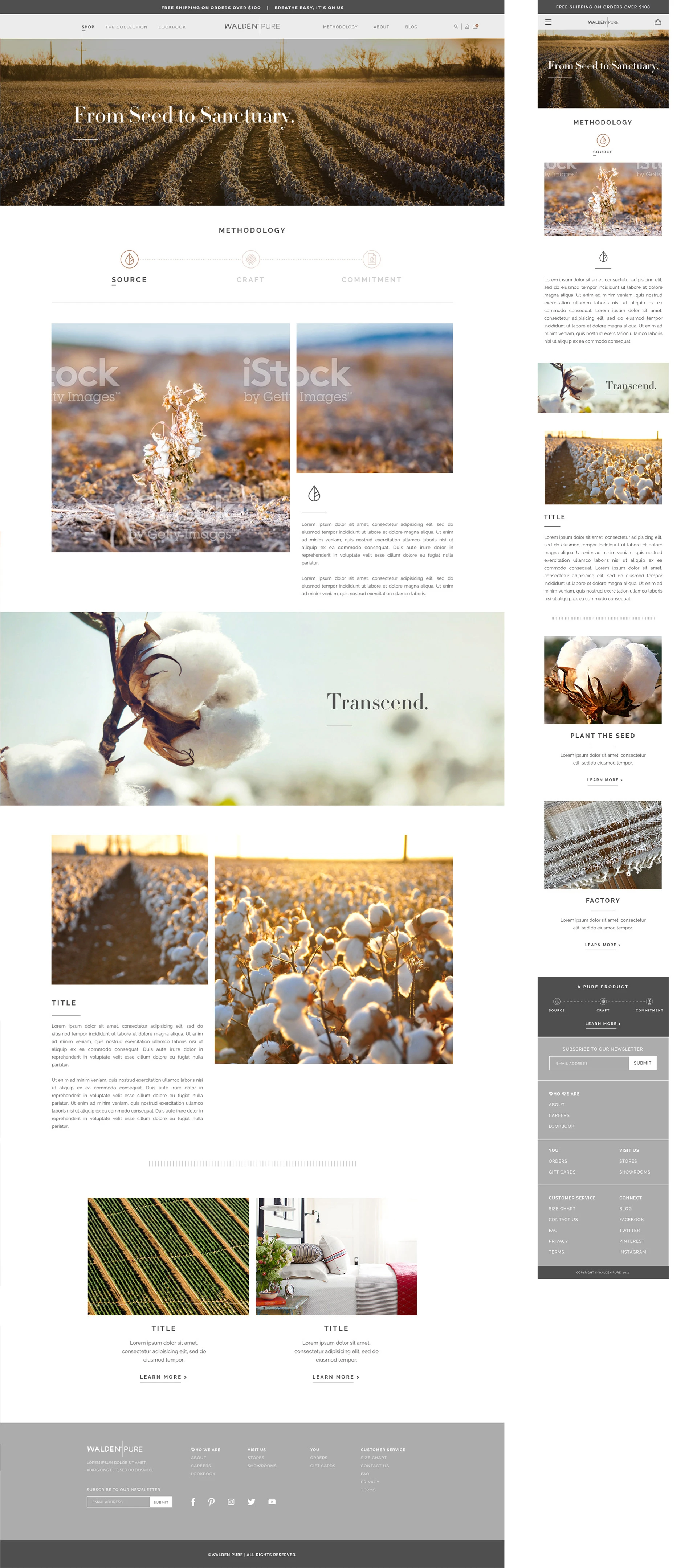 Walden Pure editorial website layouts with nature photography and product information.