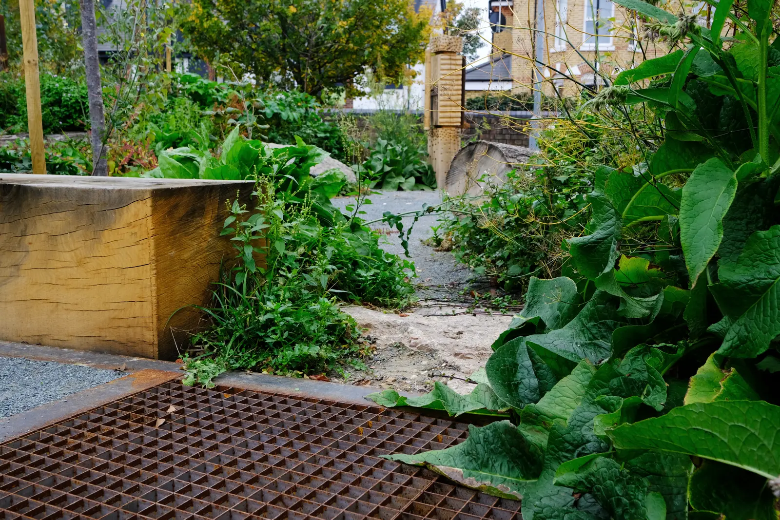 Lush greenery surrounding a stone path, leading to an inviting garden space with soft natural lighting.