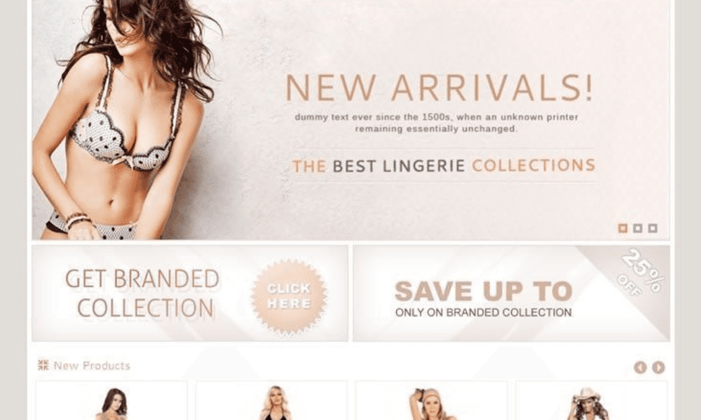 Lingerie Dropshipping E-commerce Business | Profitable Niche With Proven Demand