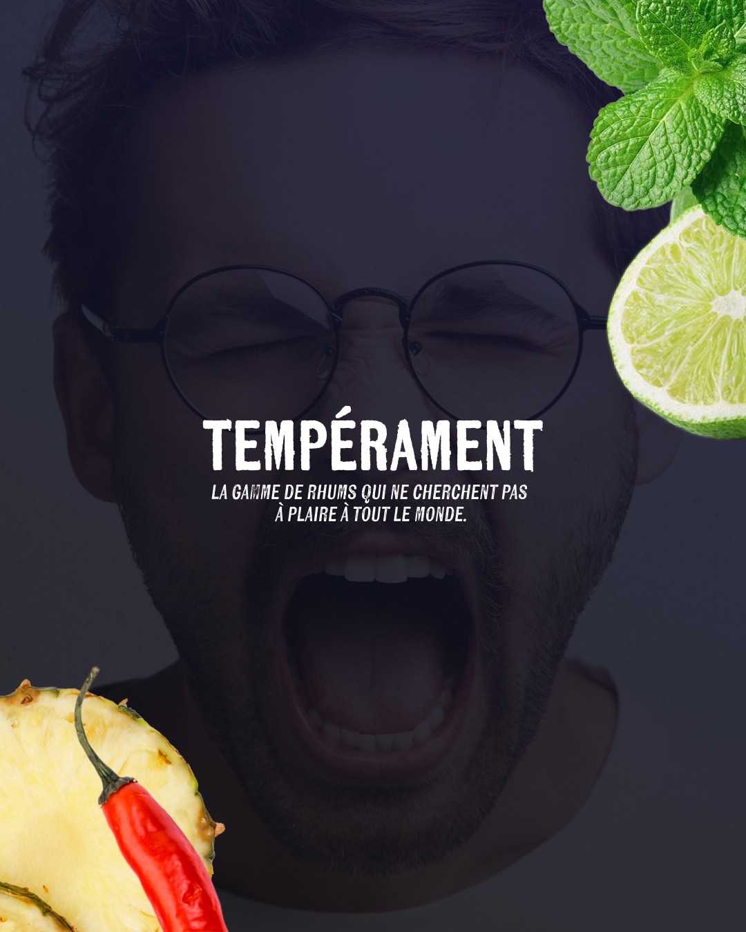 Visuel de marque Tempérament rhums arrangés — silhouette sombre d'un homme criant entourée d'ingrédients bruts (ananas, piment, citron vert, menthe), tagline "La gamme de rhums qui ne cherchent pas à plaire à tout le monde", direction artistique Tartelette Concept Toulouse