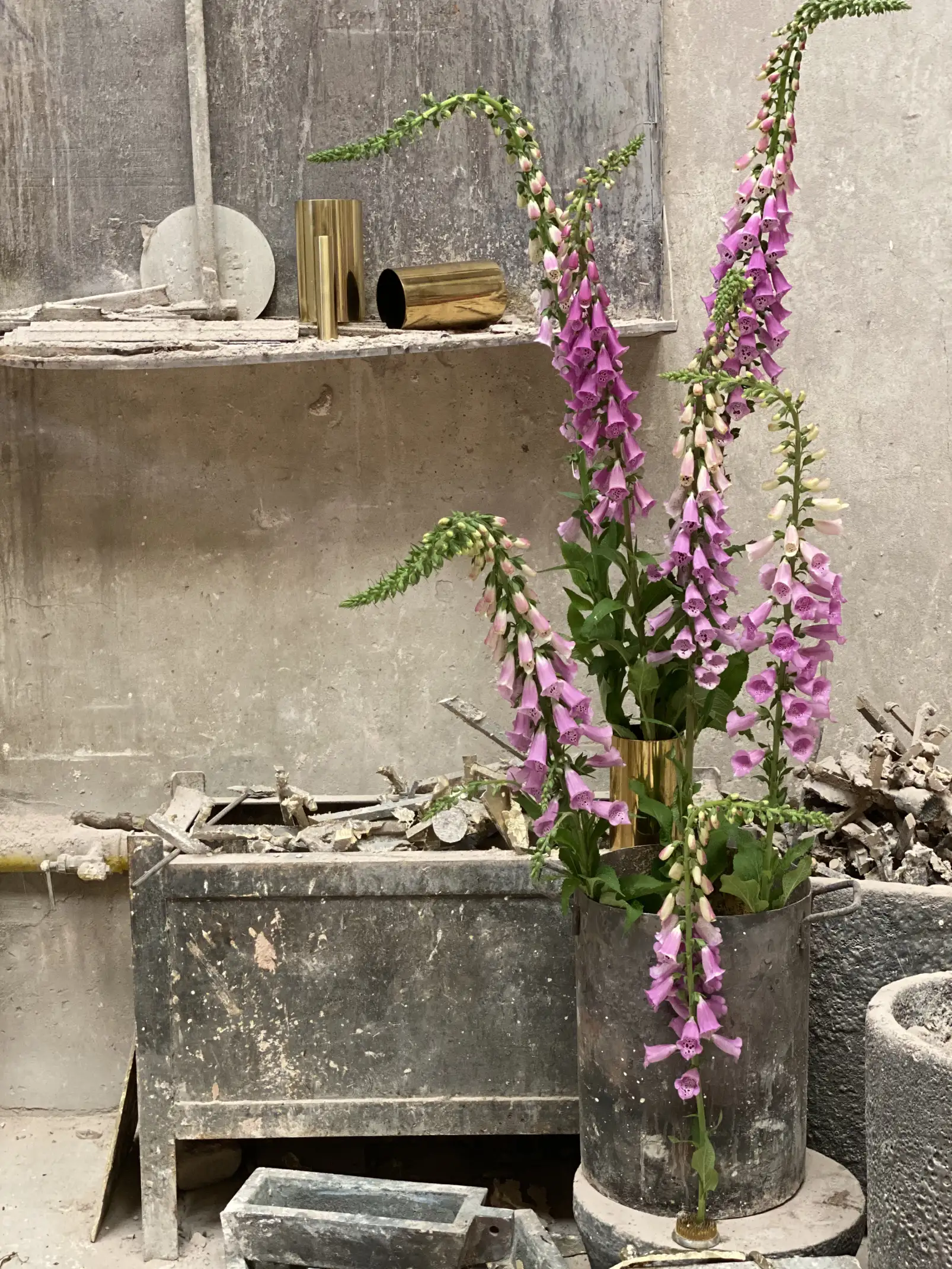 Composición floral con dedaleras en recipiente metálico para diseñadores que combinan arte botánico y estética de taller.