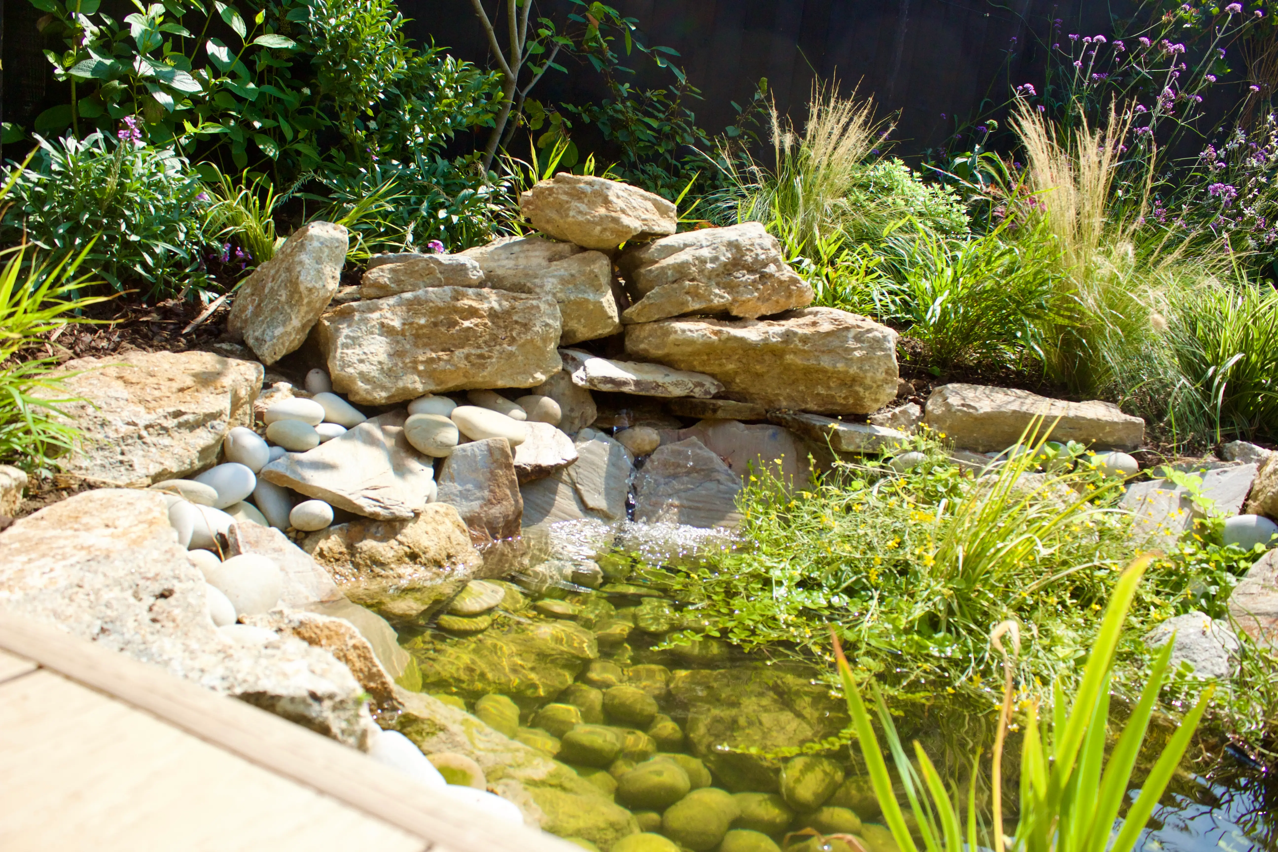 A serene garden scene featuring a small pond surrounded by rocks and lush greenery. Gentle water flow is visible.