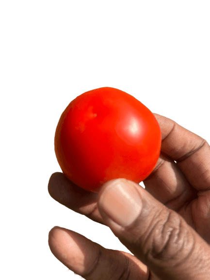man with farm harvest