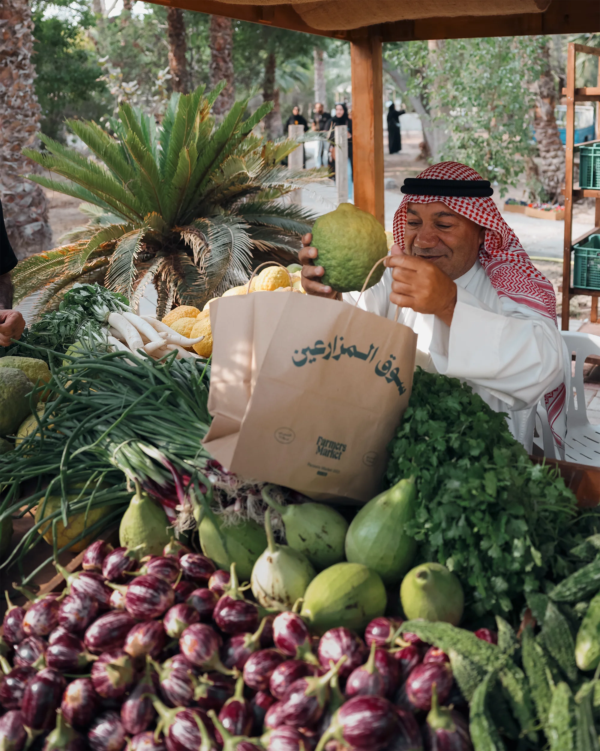 A mockup with 3 screens from jop portal app