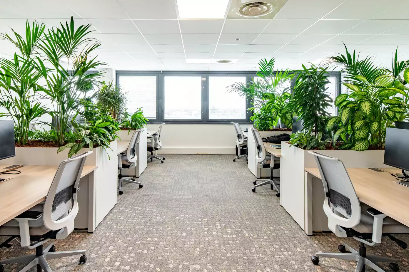 Photo In'flor Mur vegetal