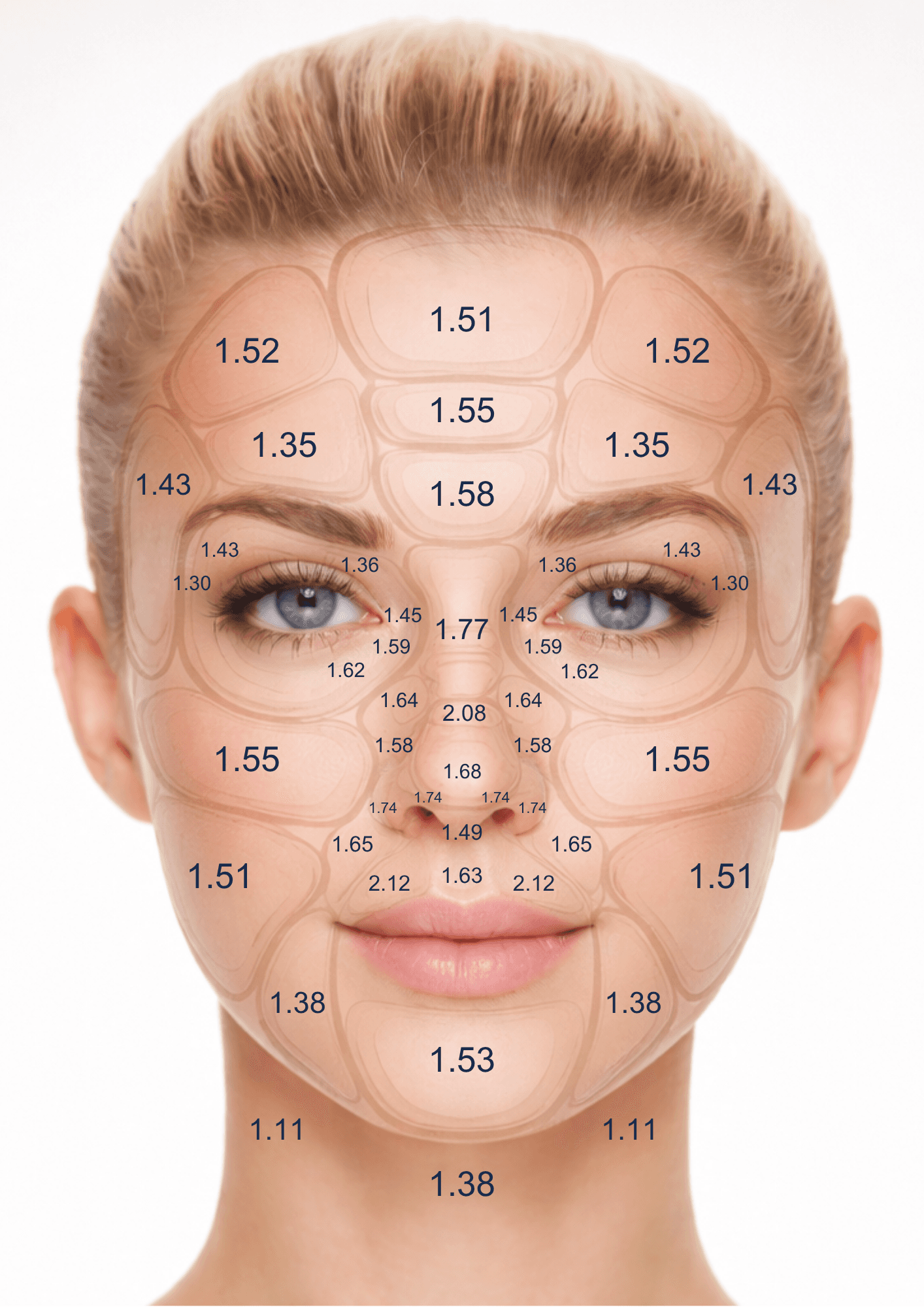 An image of Freelio's project ui