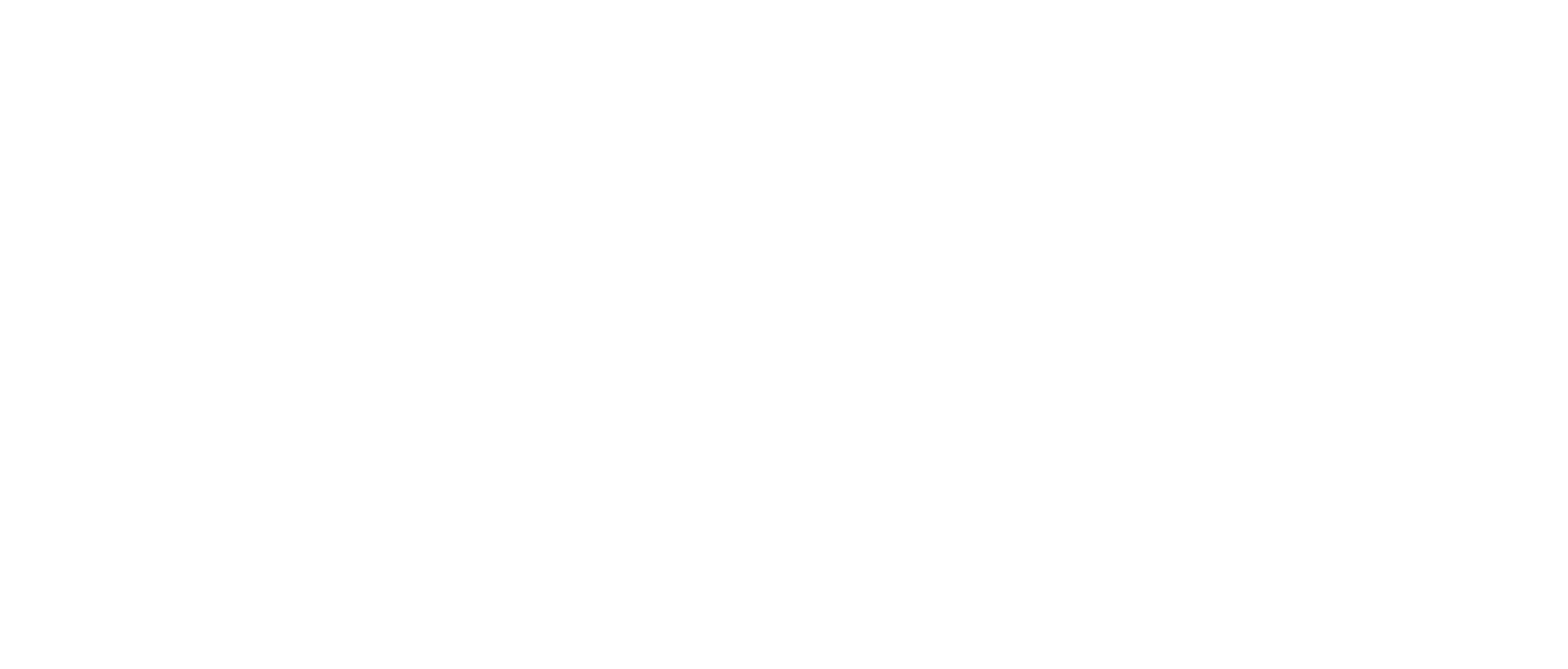 NexScale logo
