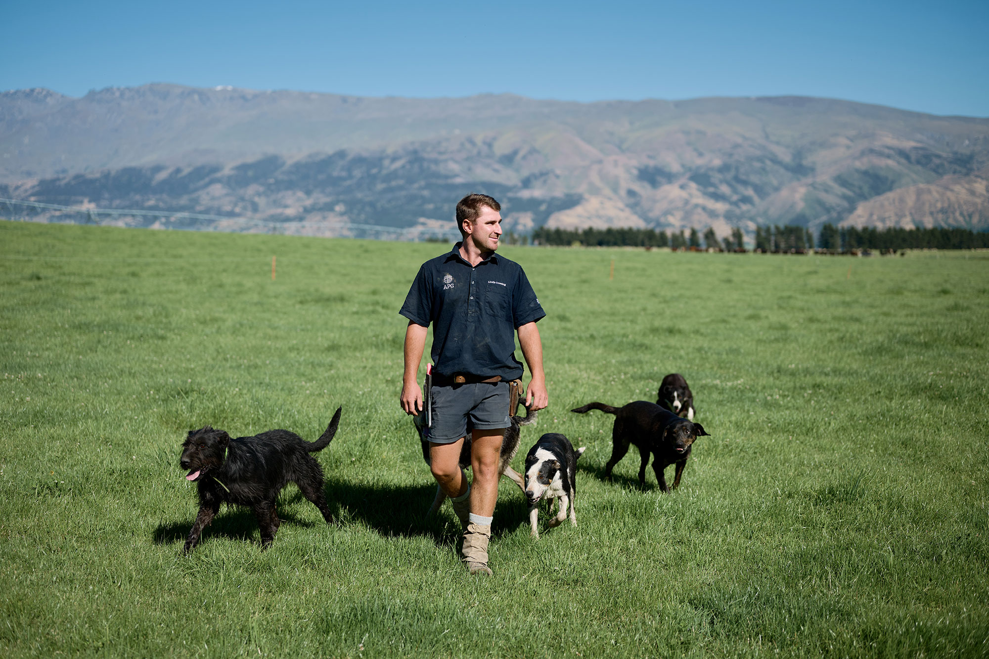 Alpine Pastures Group