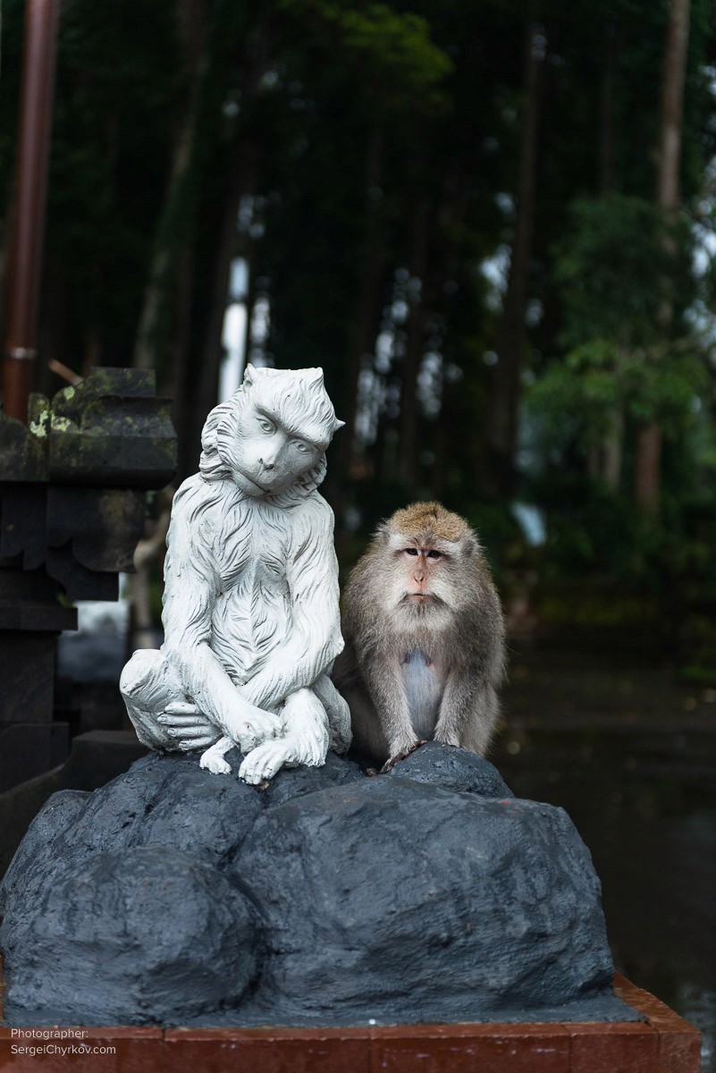 Bali by Sergei Chyrkov. Бали, фотограф Сергей Чирков