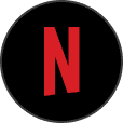 Netflix logo icon