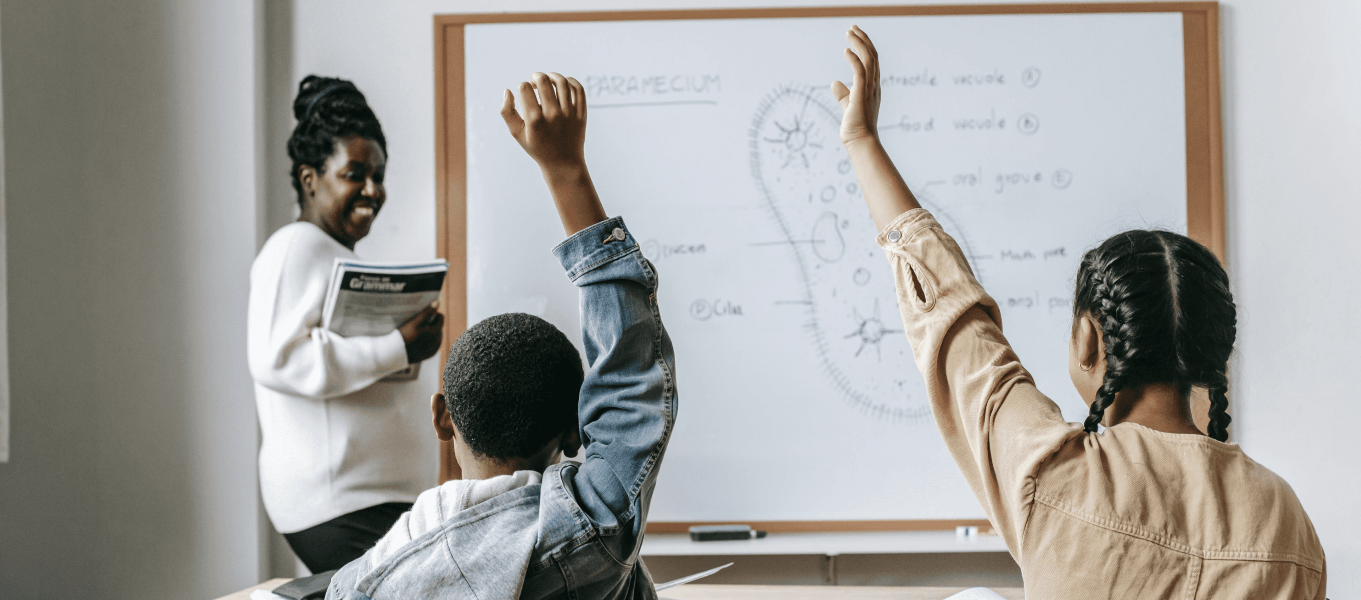 kids raising hands in class