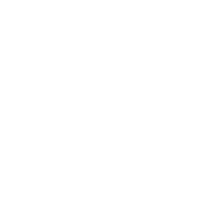 Client Icon