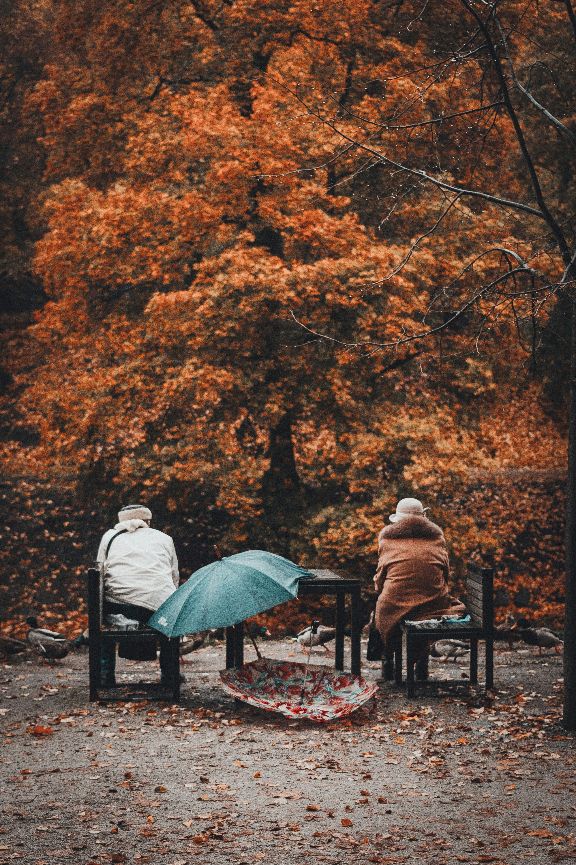two person sitting on bench with two umbrellas