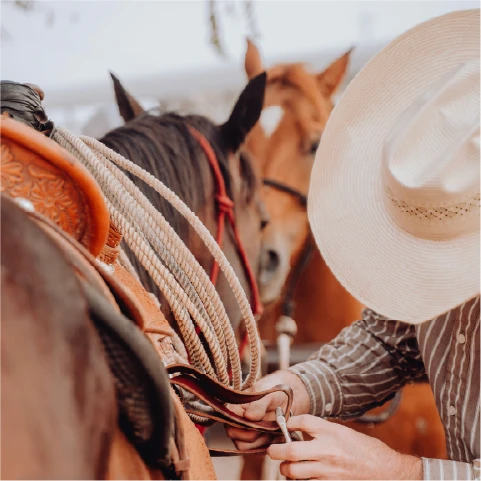a person riding a horse