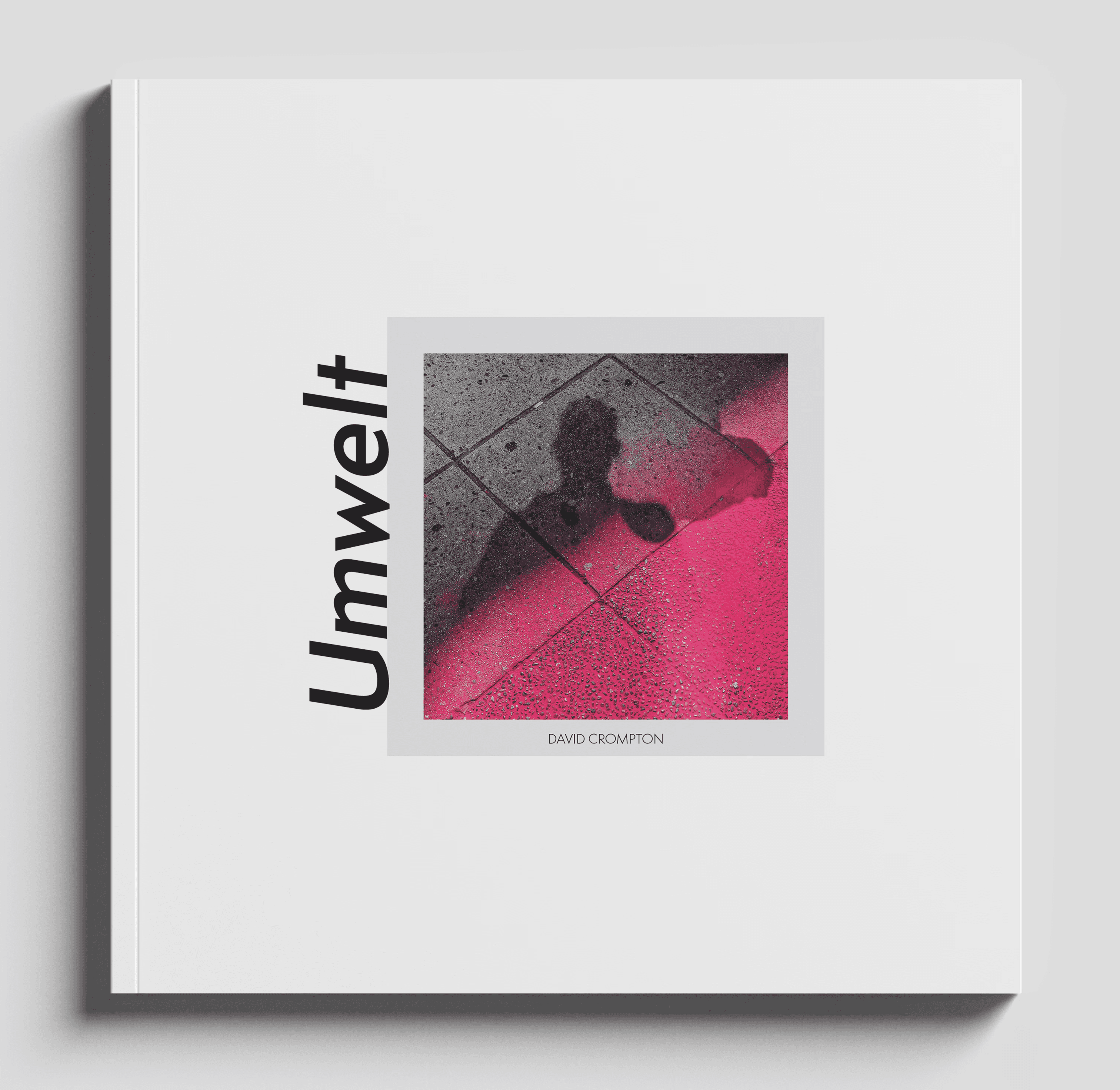 Book cover featuring a shadow self-portrait cast across concrete tiles painted with a sweeping stroke of magenta. The title “Umwelt” tilts along the left side in bold type.