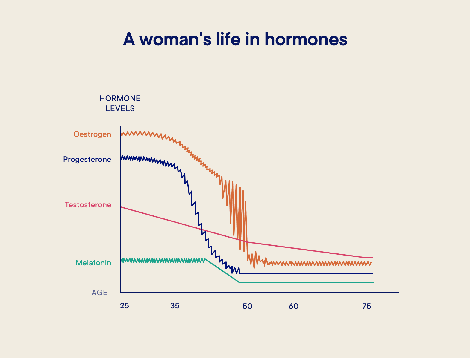 womens hormones chart hagsretown md