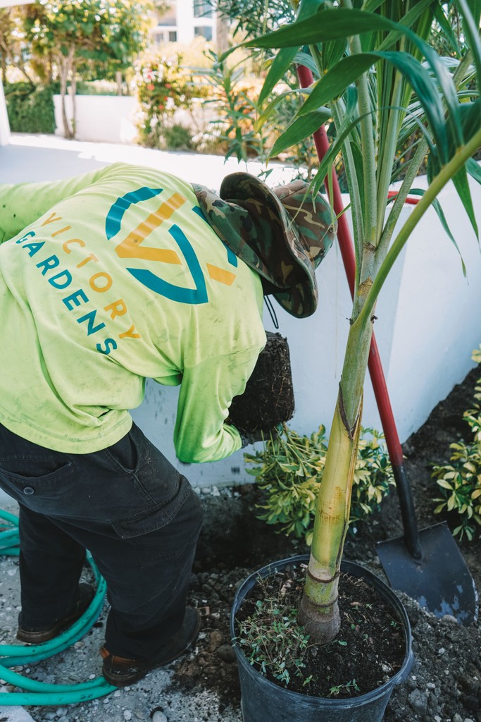 Palm-planting