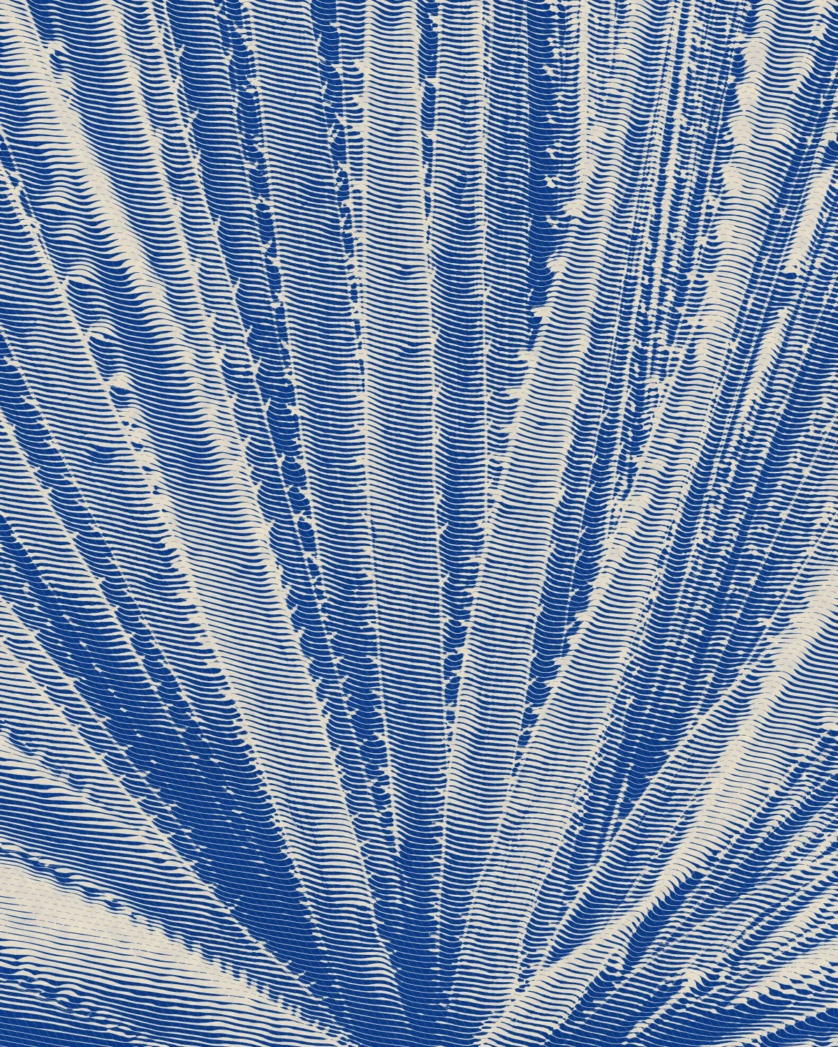 An agave engraved in four states