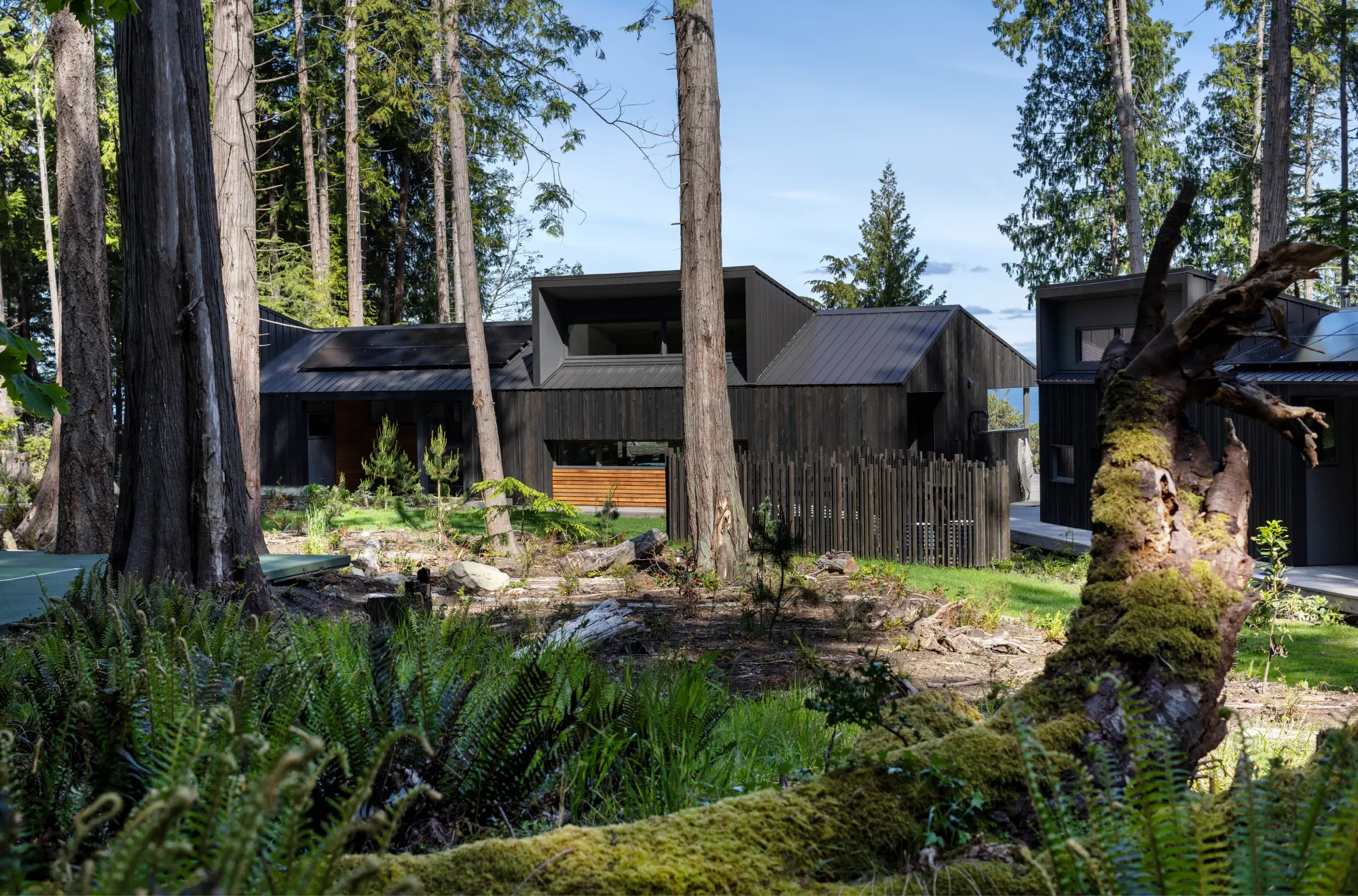 Island Retreat by Purehaus