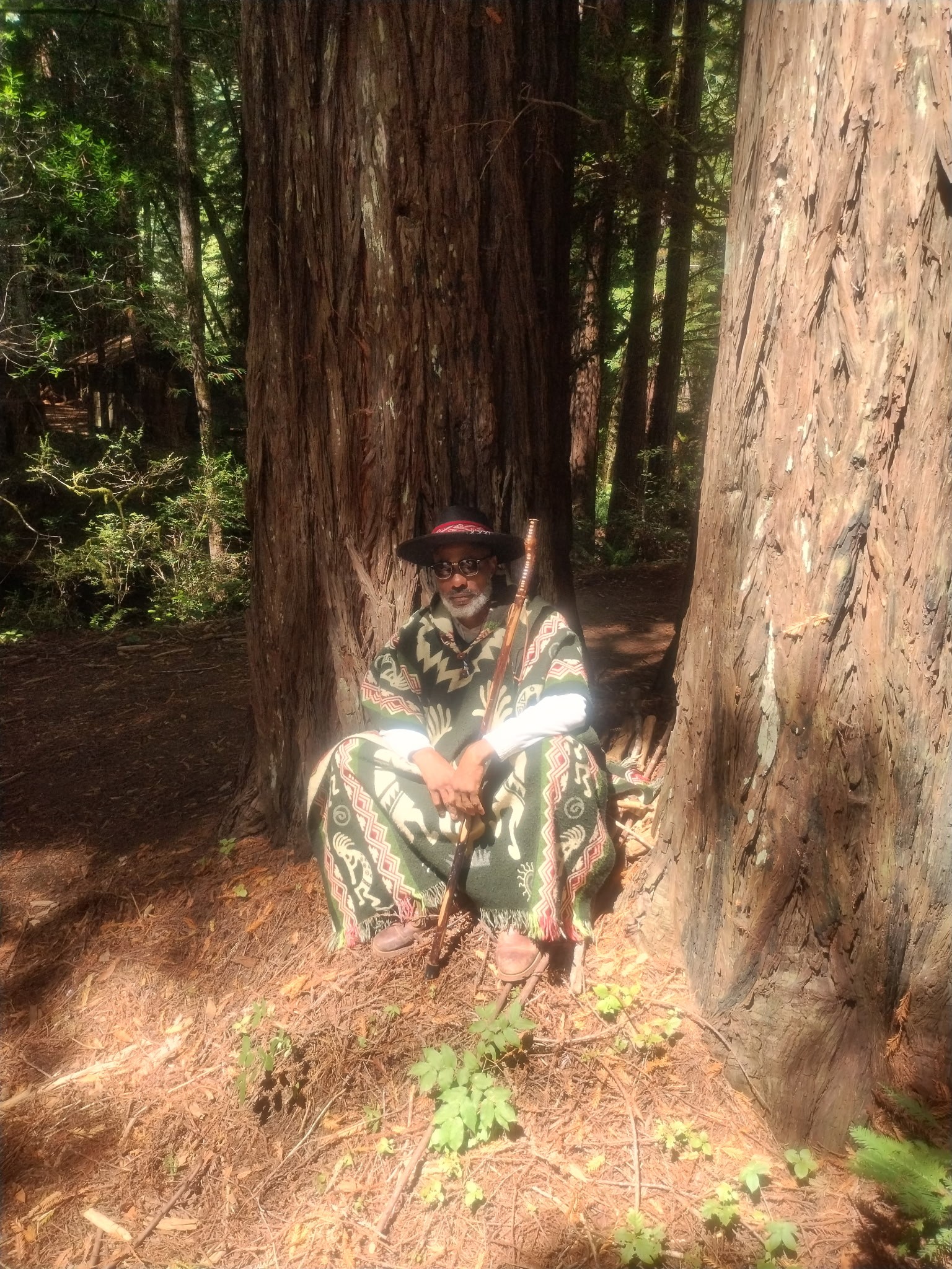 Walking trails in the mountain