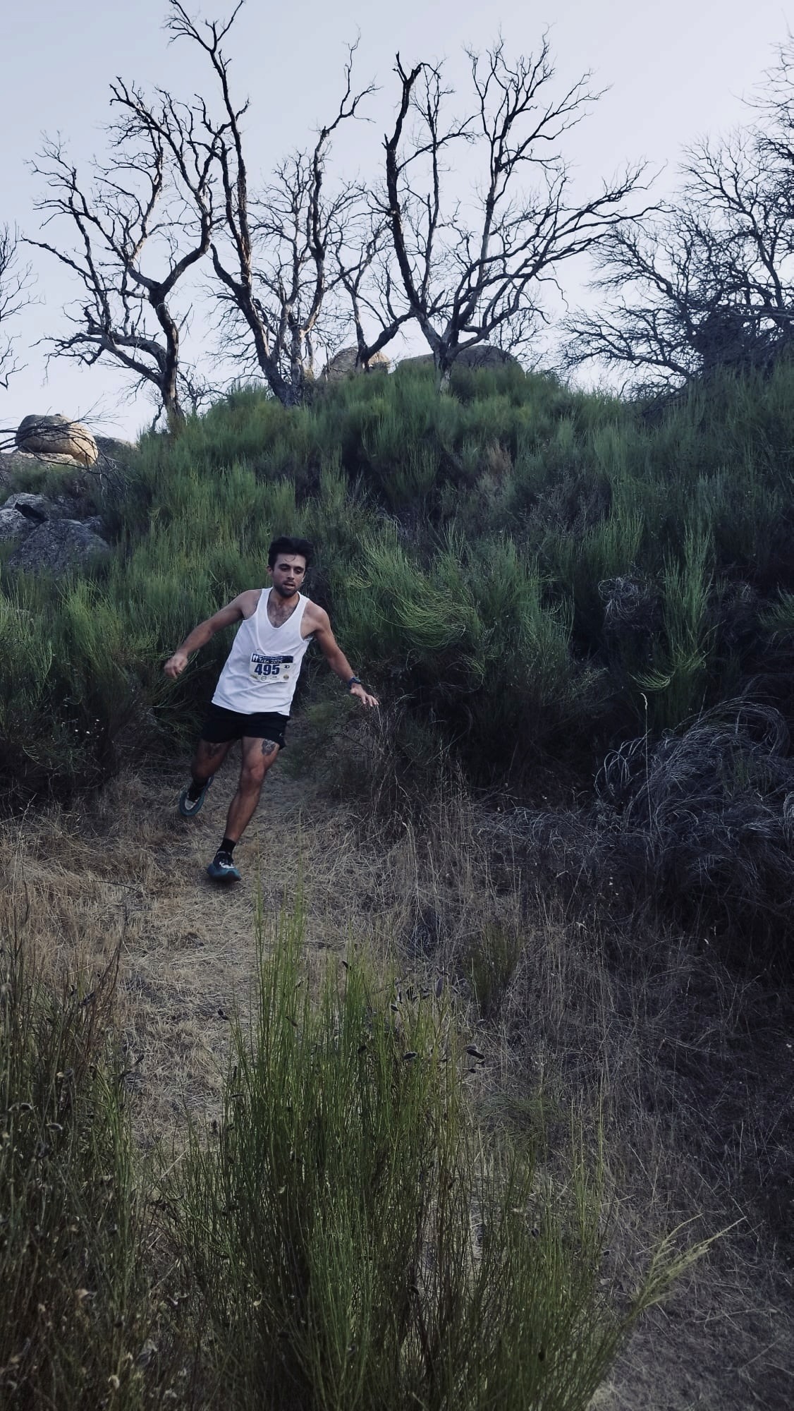 Coach explaining something to an athlete
