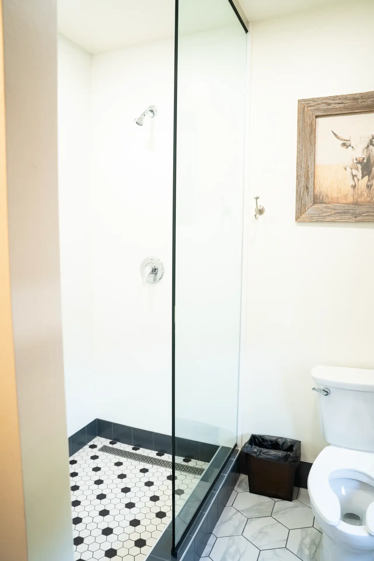 Walk-in shower with longhorn art