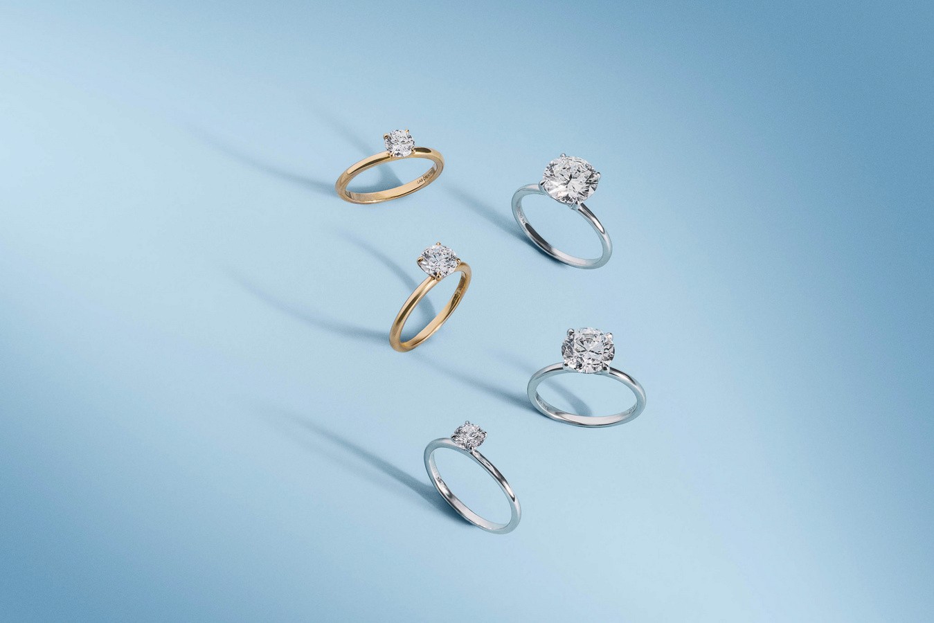 cross section of ring items