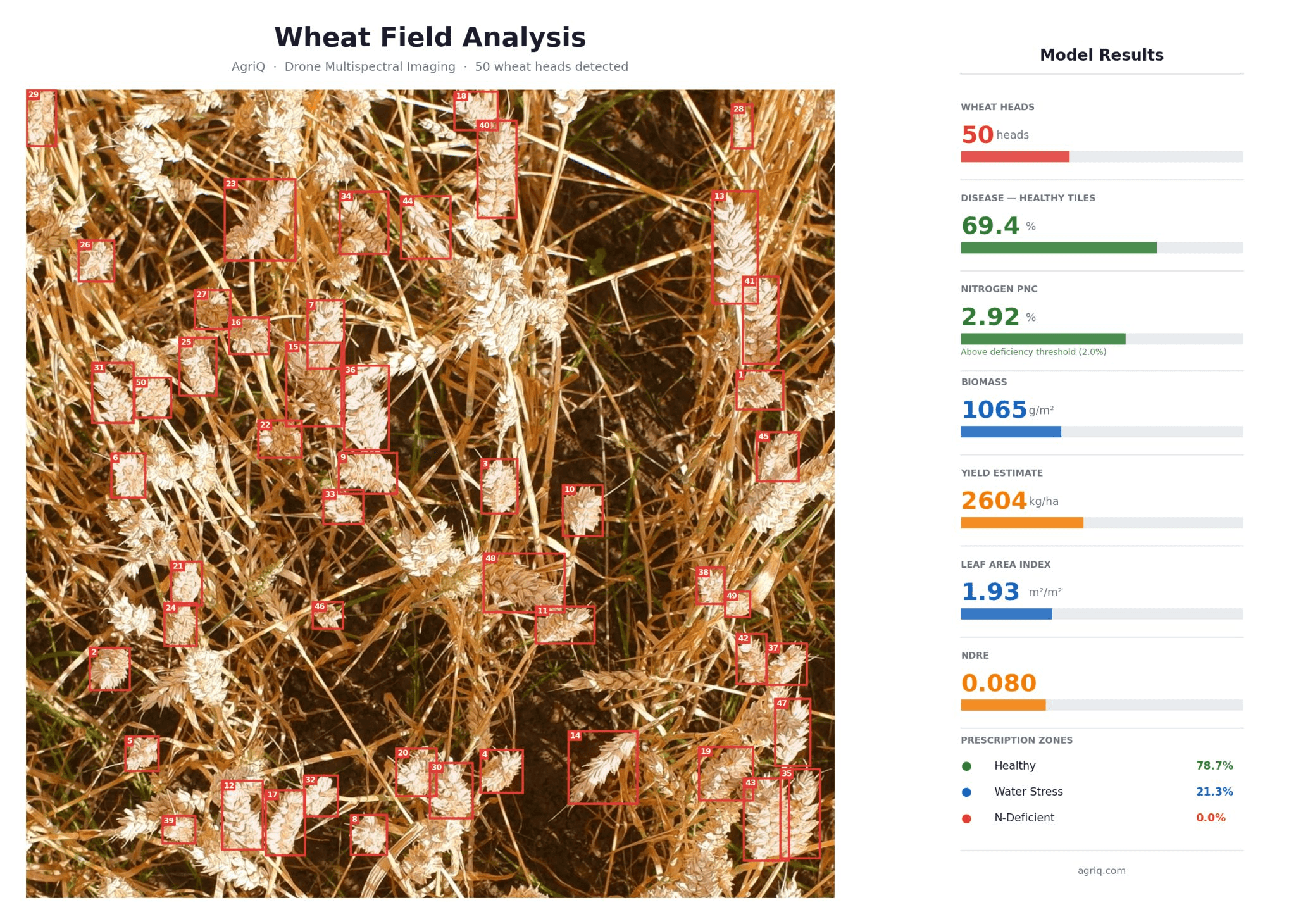 Wheat field aerial multispectral view
