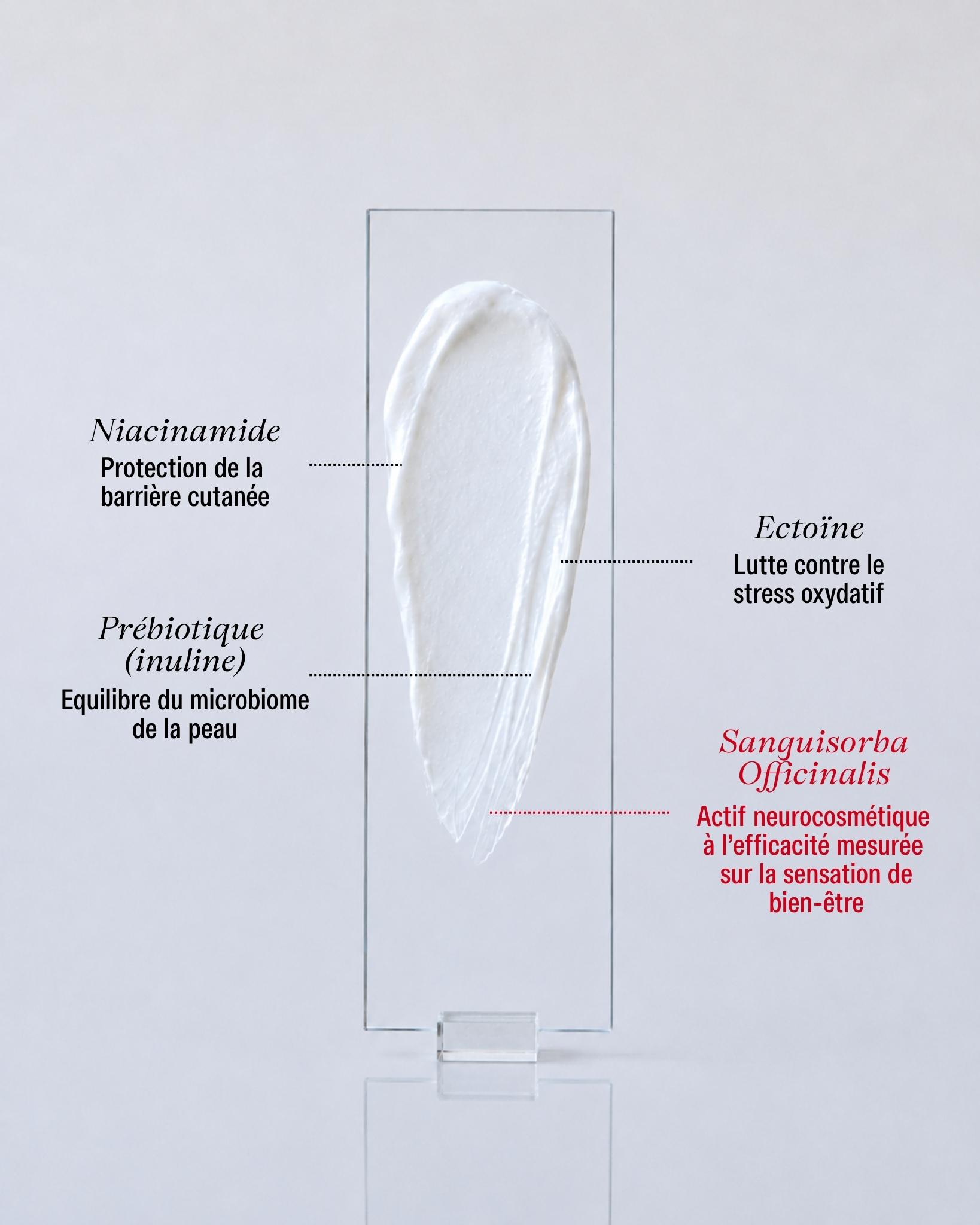composition ingrédients pour soin pômesse paris