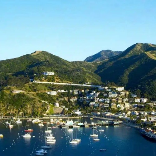 Catalina Island Day Trip with Discover Avalon Scenic Driving Tour