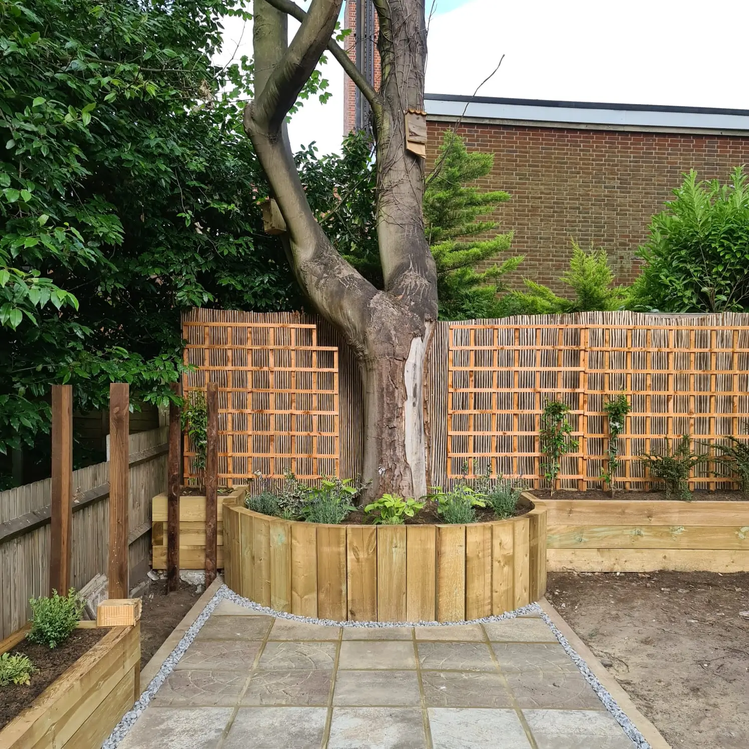 Garden area featuring a tree surrounded by wooden planters and a stone pathway, with a wooden fence in the background.