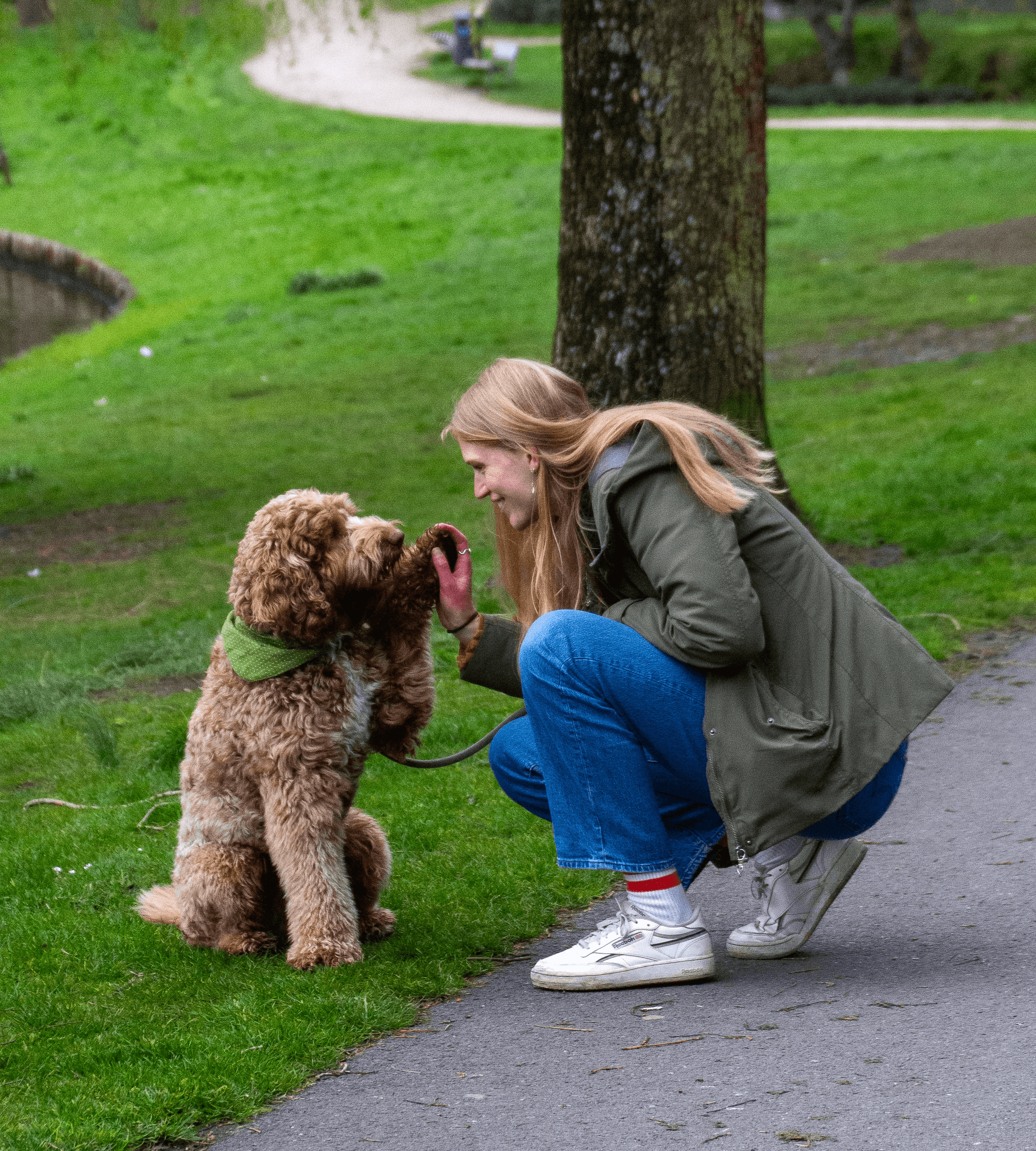 Book your pet sitter via the app