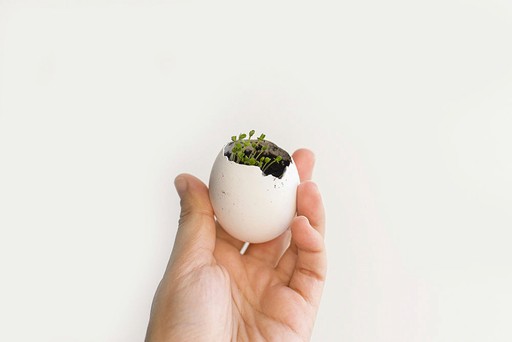 A hand gently holds a white cracked eggshell, from which vibrant green sprouts emerge from dark soil, symbolizing growth.